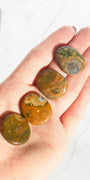 Rhyolite Mini Flatstone Healing Crystal.
