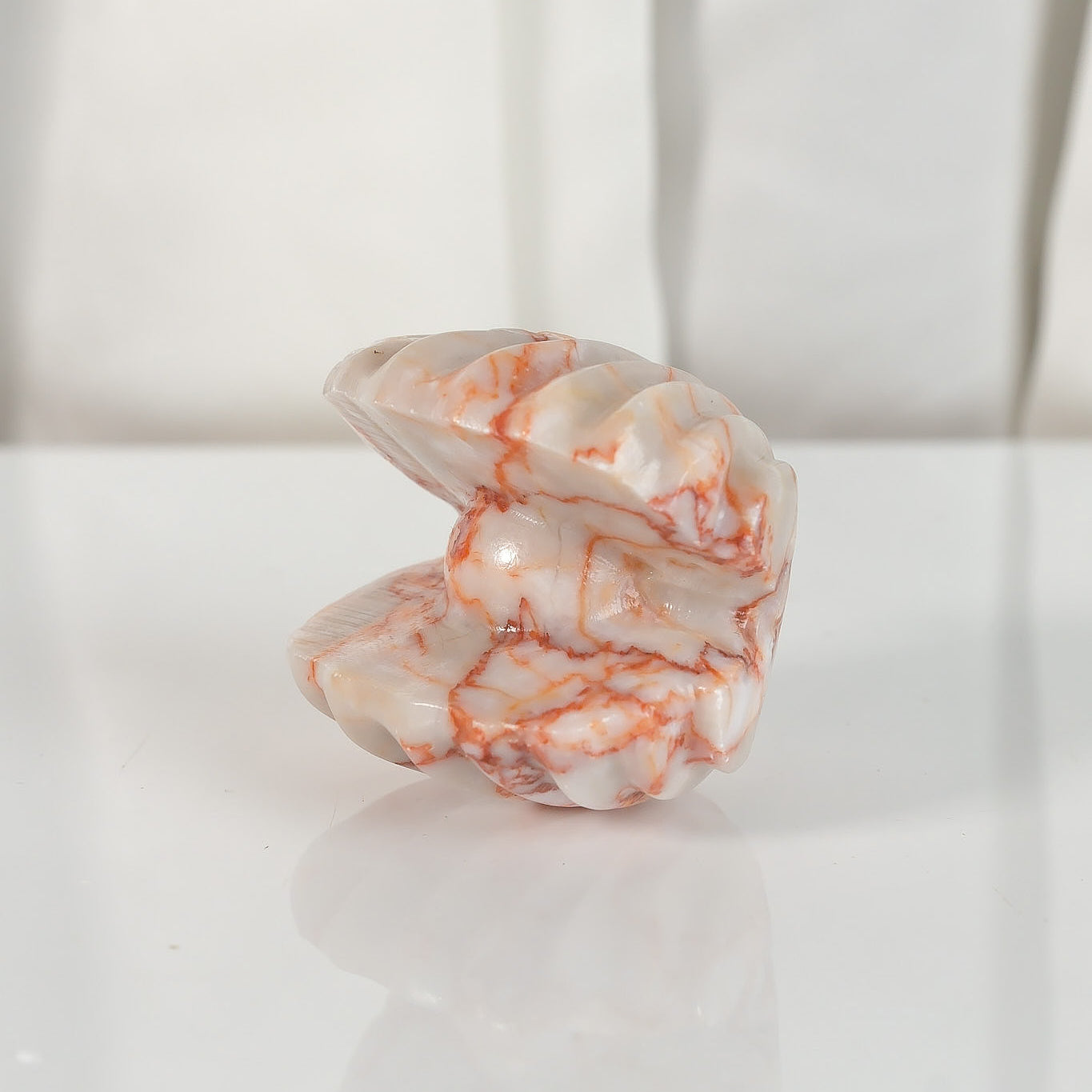 Red Vein Jasper Shell