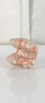Red Vein Jasper Shell