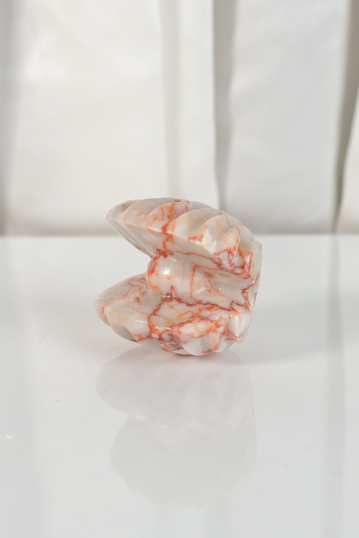 Red Vein Jasper Shell