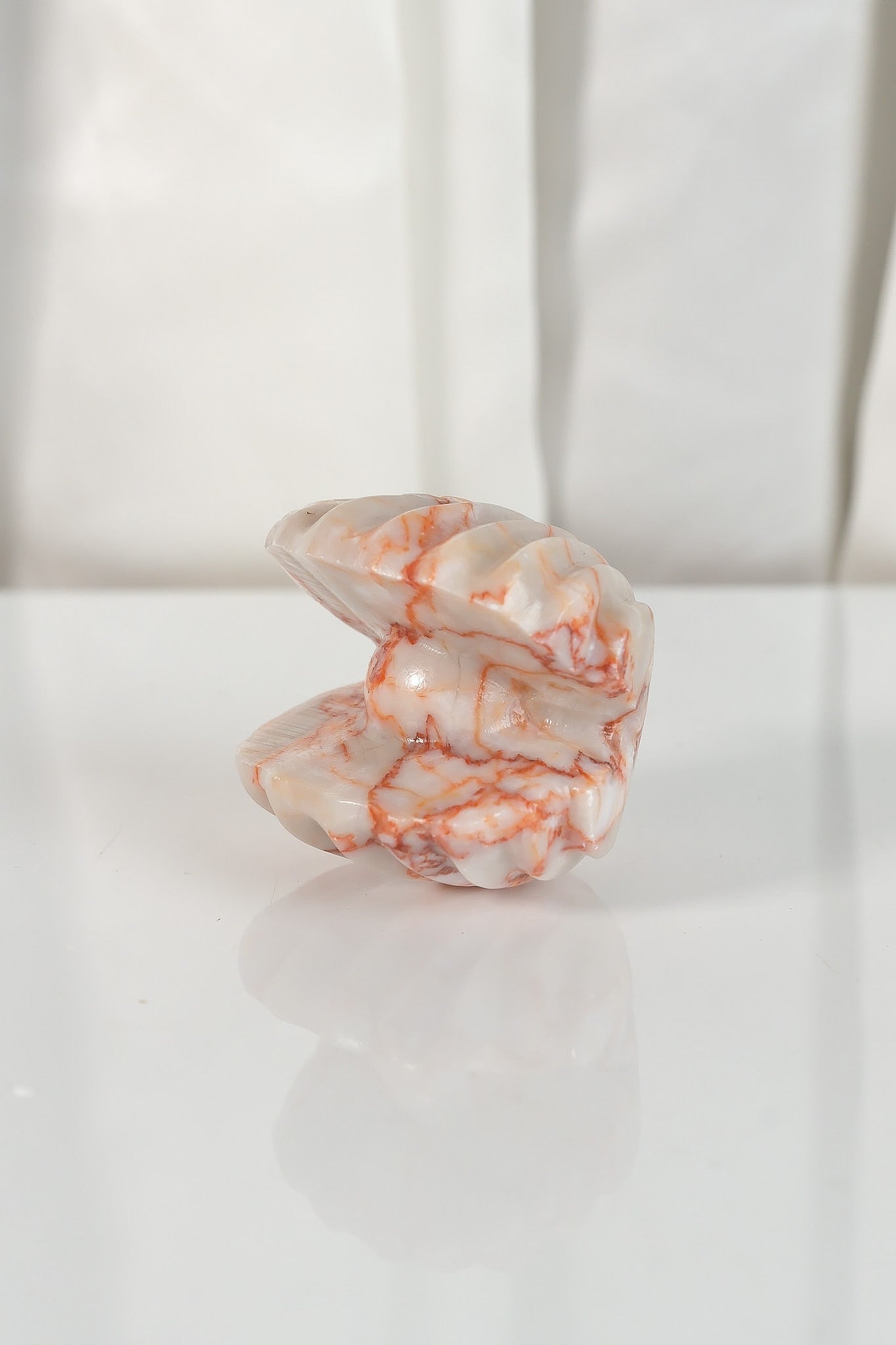 Red Vein Jasper Shell