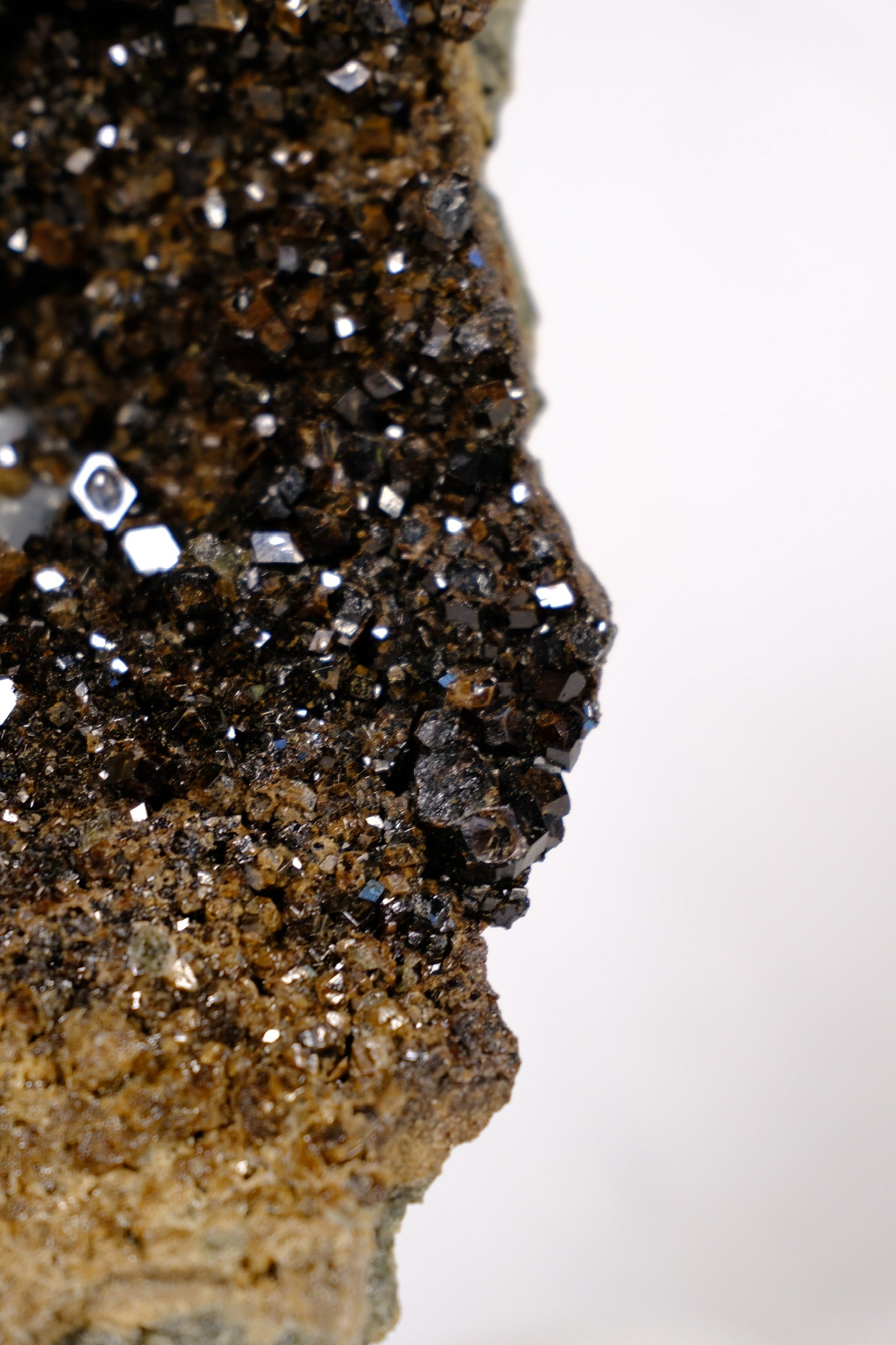 Melanite Garnet Cluster