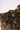 Melanite Garnet Cluster
