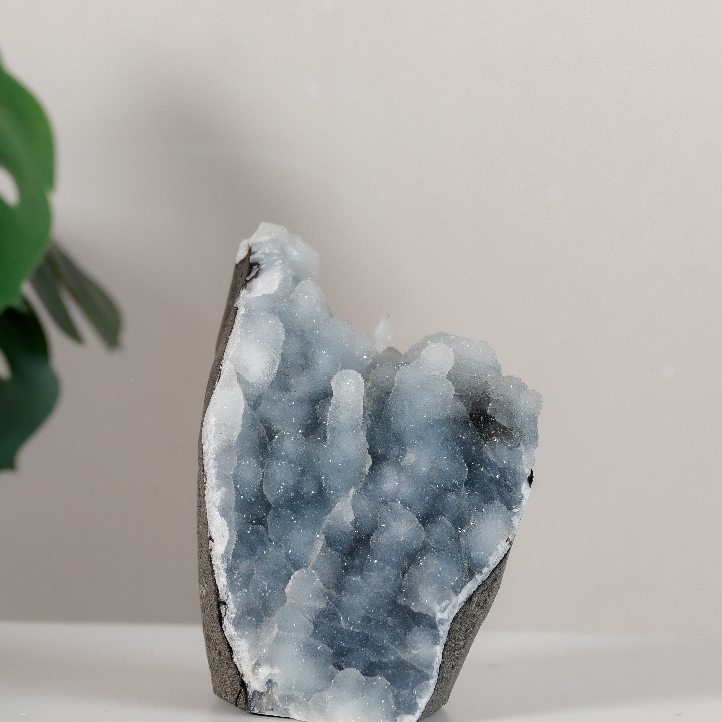 Shimmering Botryoidal Blue Chalcedony Cutbase Cluster