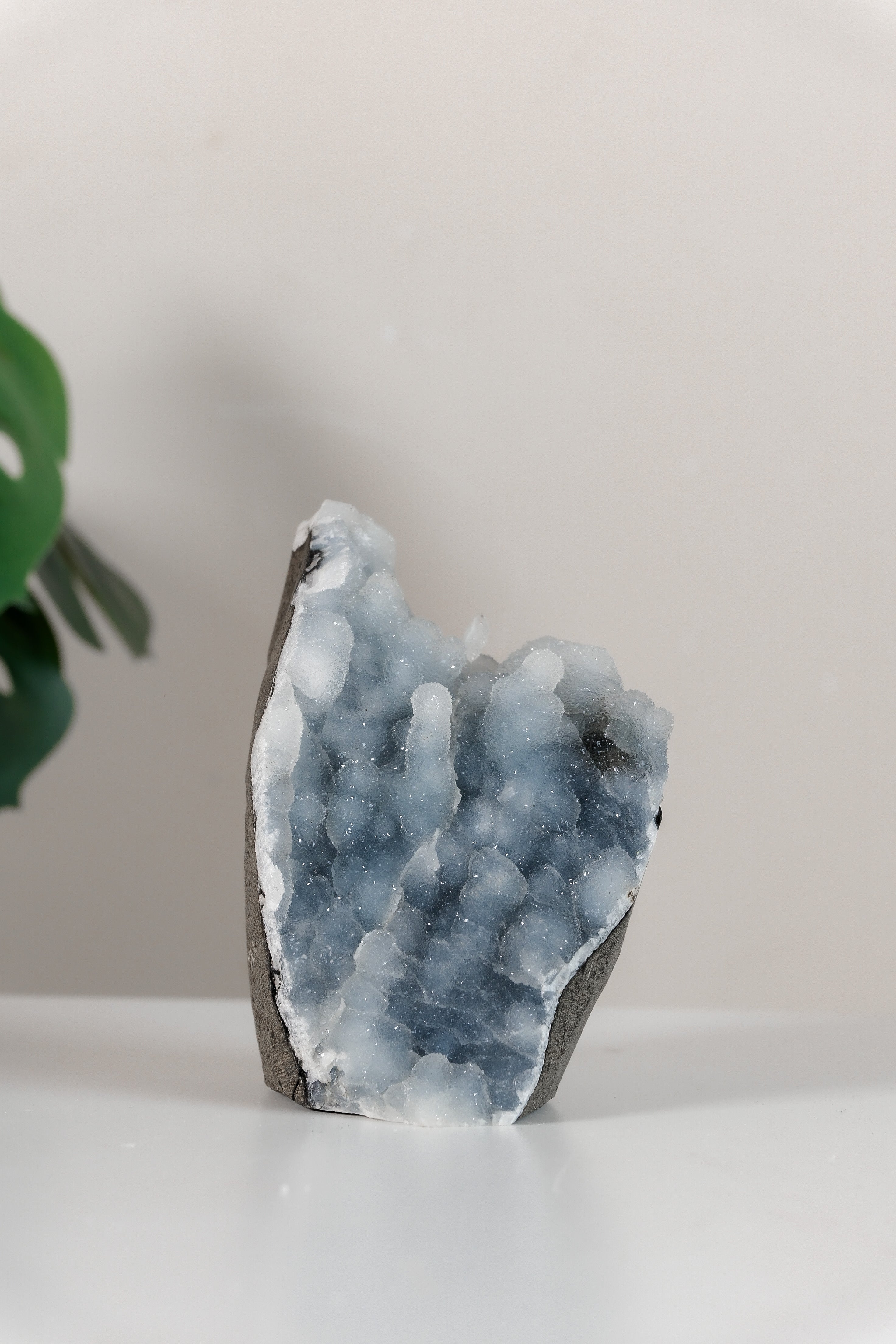 Shimmering Botryoidal Blue Chalcedony Cutbase Cluster