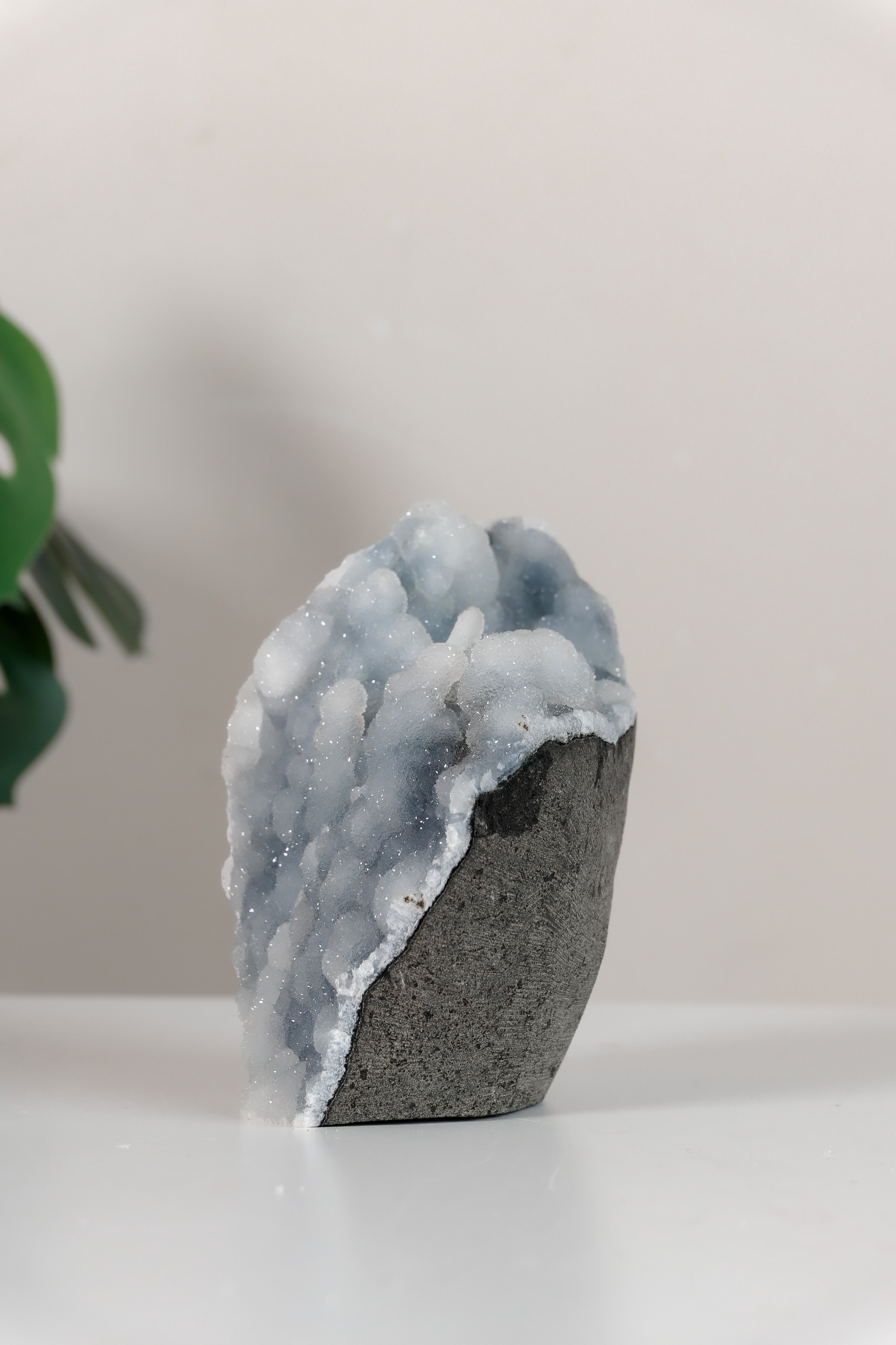 Shimmering Botryoidal Blue Chalcedony Cutbase Cluster