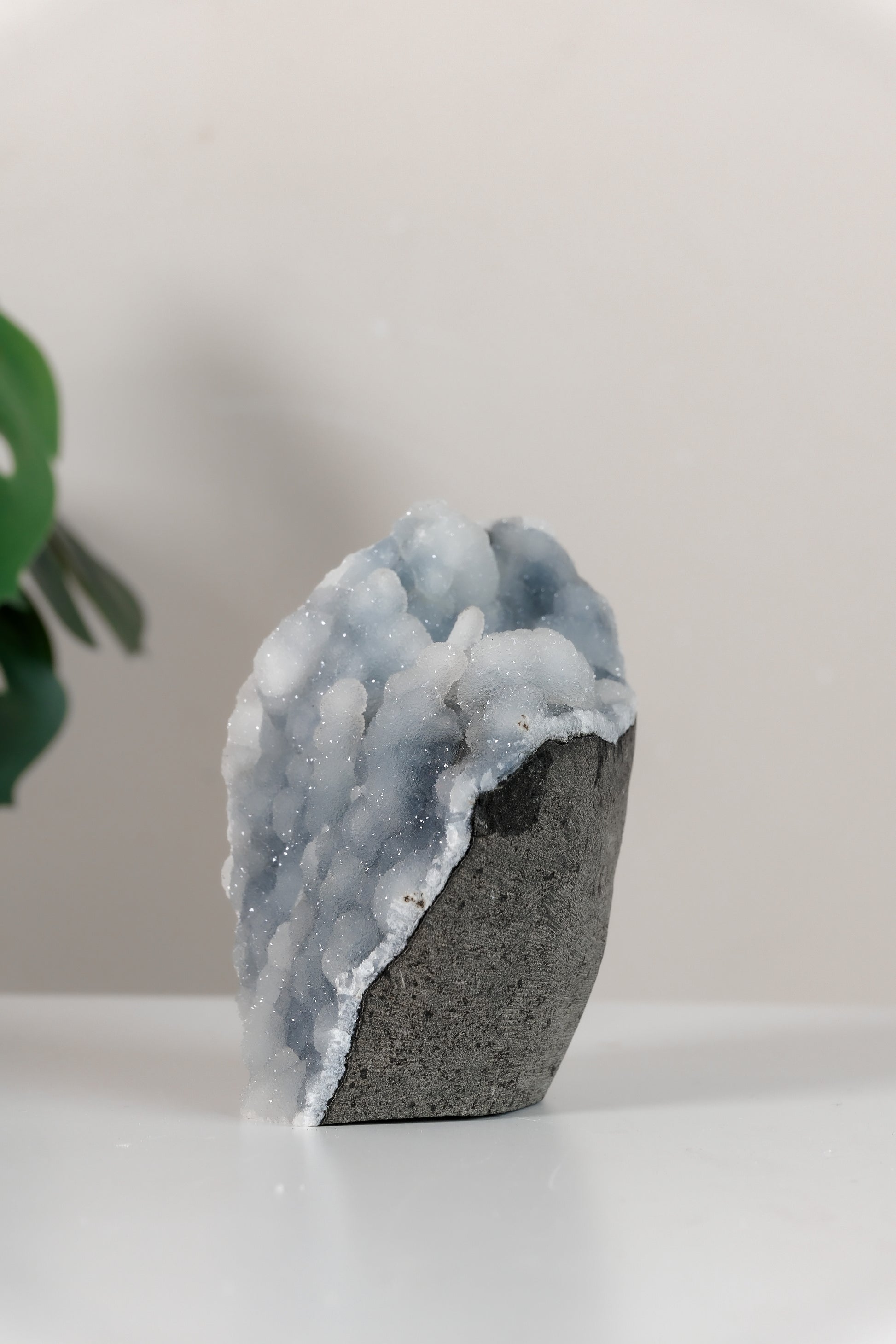 Shimmering Botryoidal Blue Chalcedony Cutbase Cluster