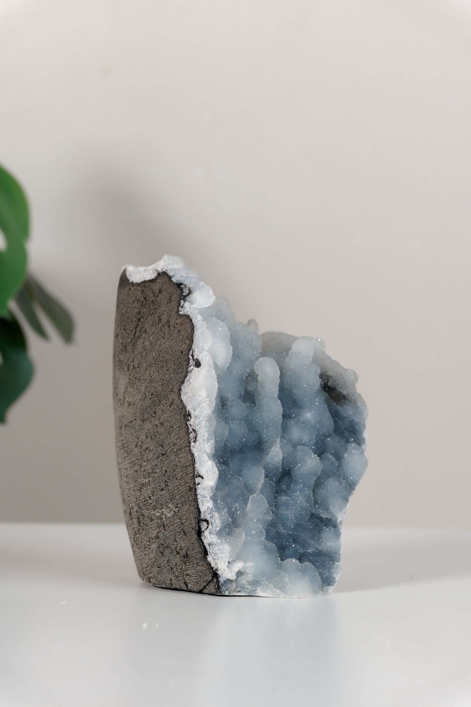 Shimmering Botryoidal Blue Chalcedony Cutbase Cluster
