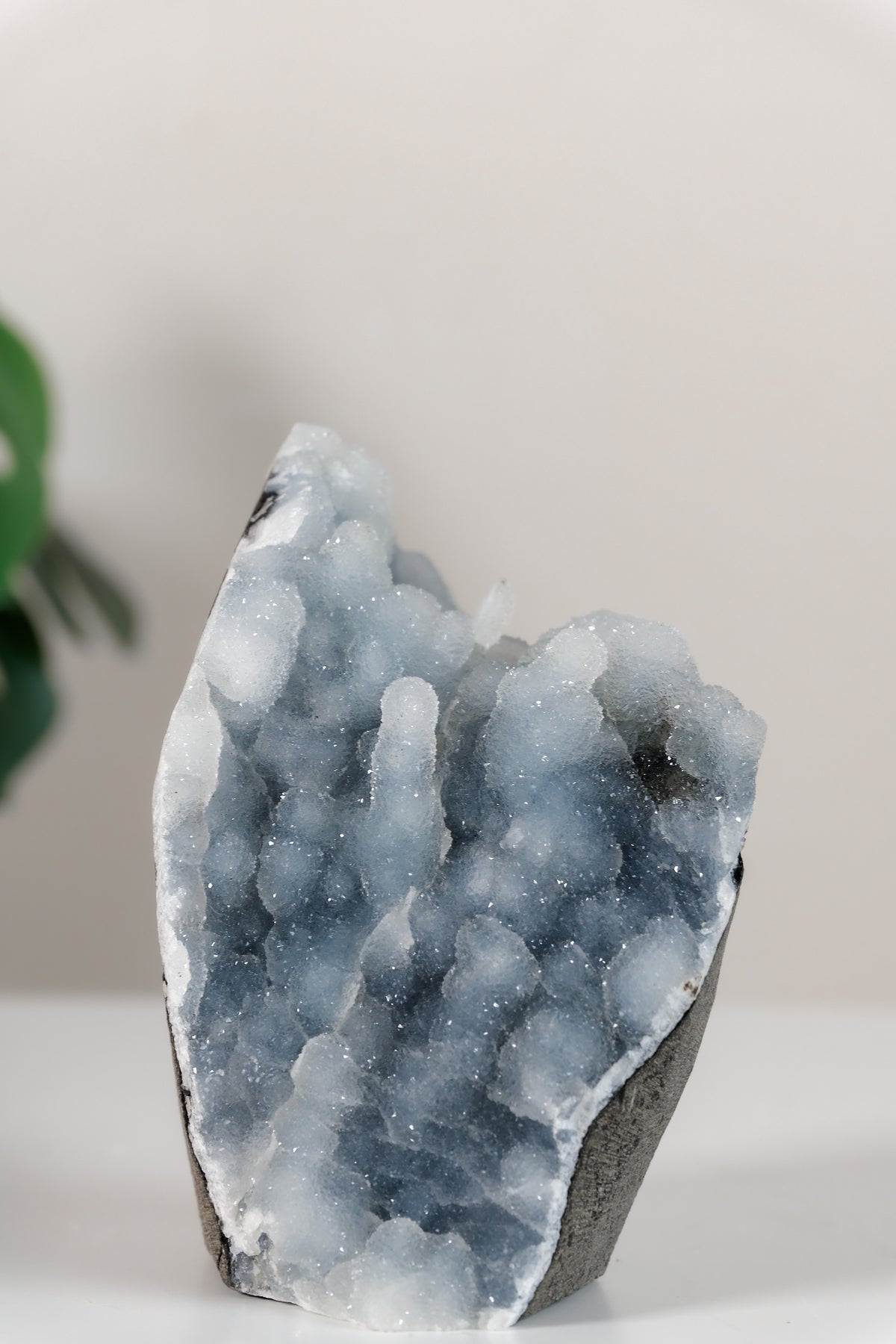 Shimmering Botryoidal Blue Chalcedony Cutbase Cluster