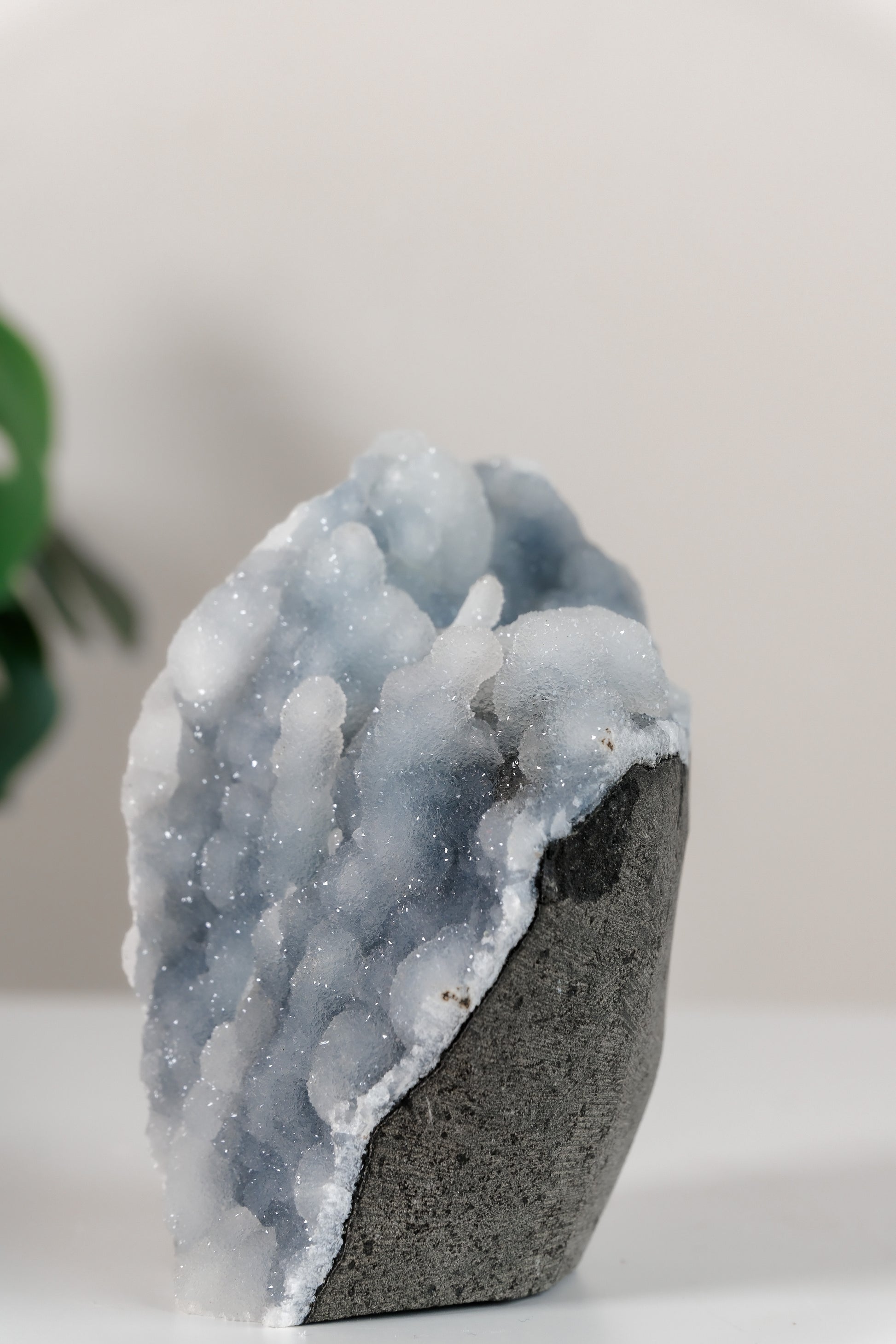 Shimmering Botryoidal Blue Chalcedony Cutbase Cluster