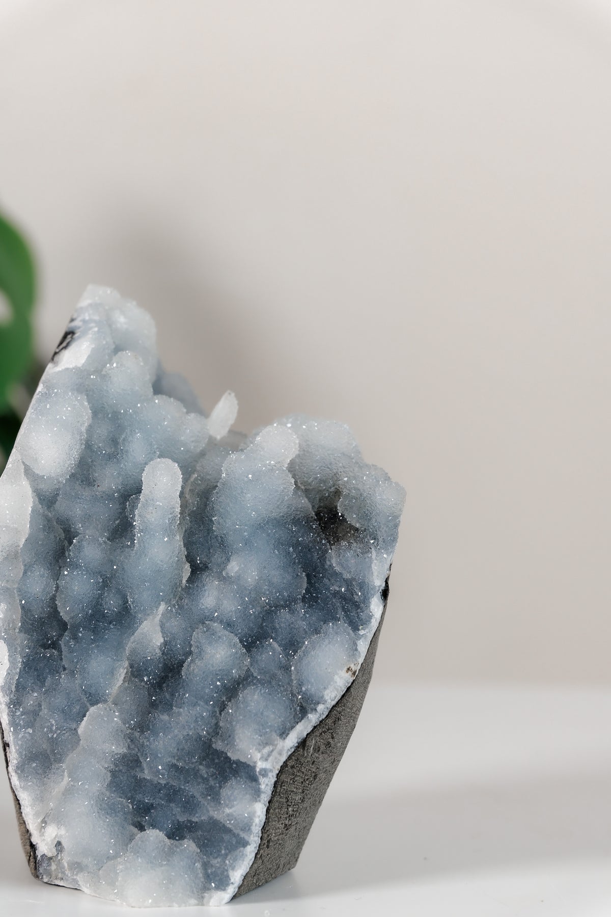 Shimmering Botryoidal Blue Chalcedony Cutbase Cluster