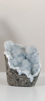 Shimmering Botryoidal Blue Chalcedony Cutbase Cluster