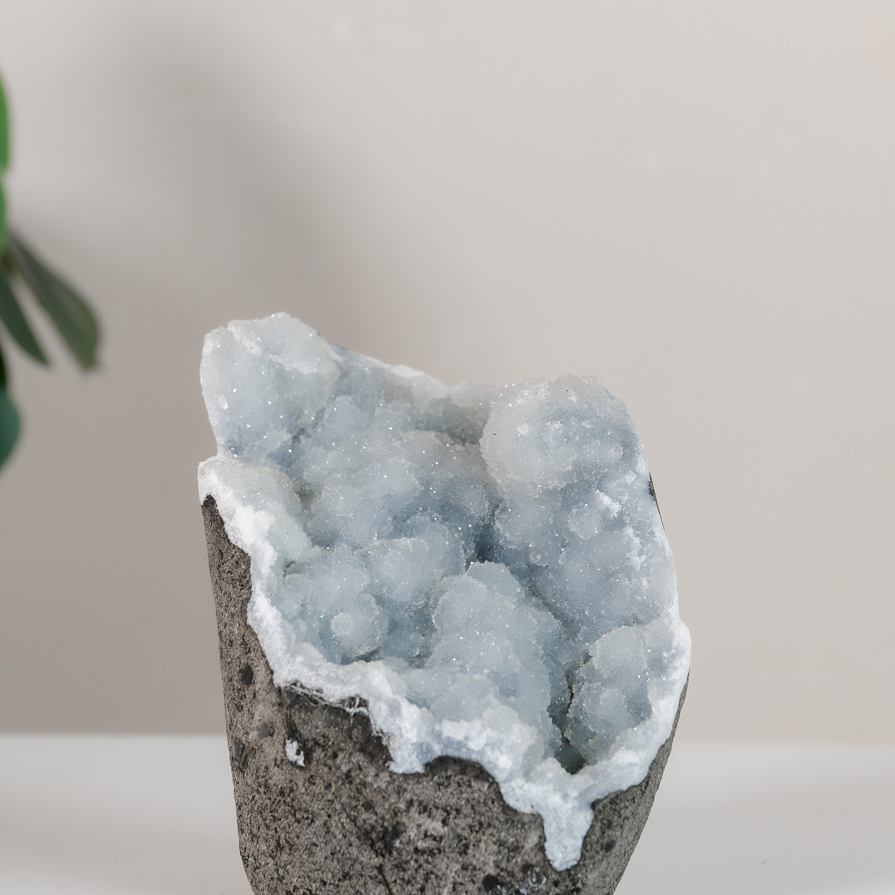 Shimmering Botryoidal Blue Chalcedony Cutbase Cluster