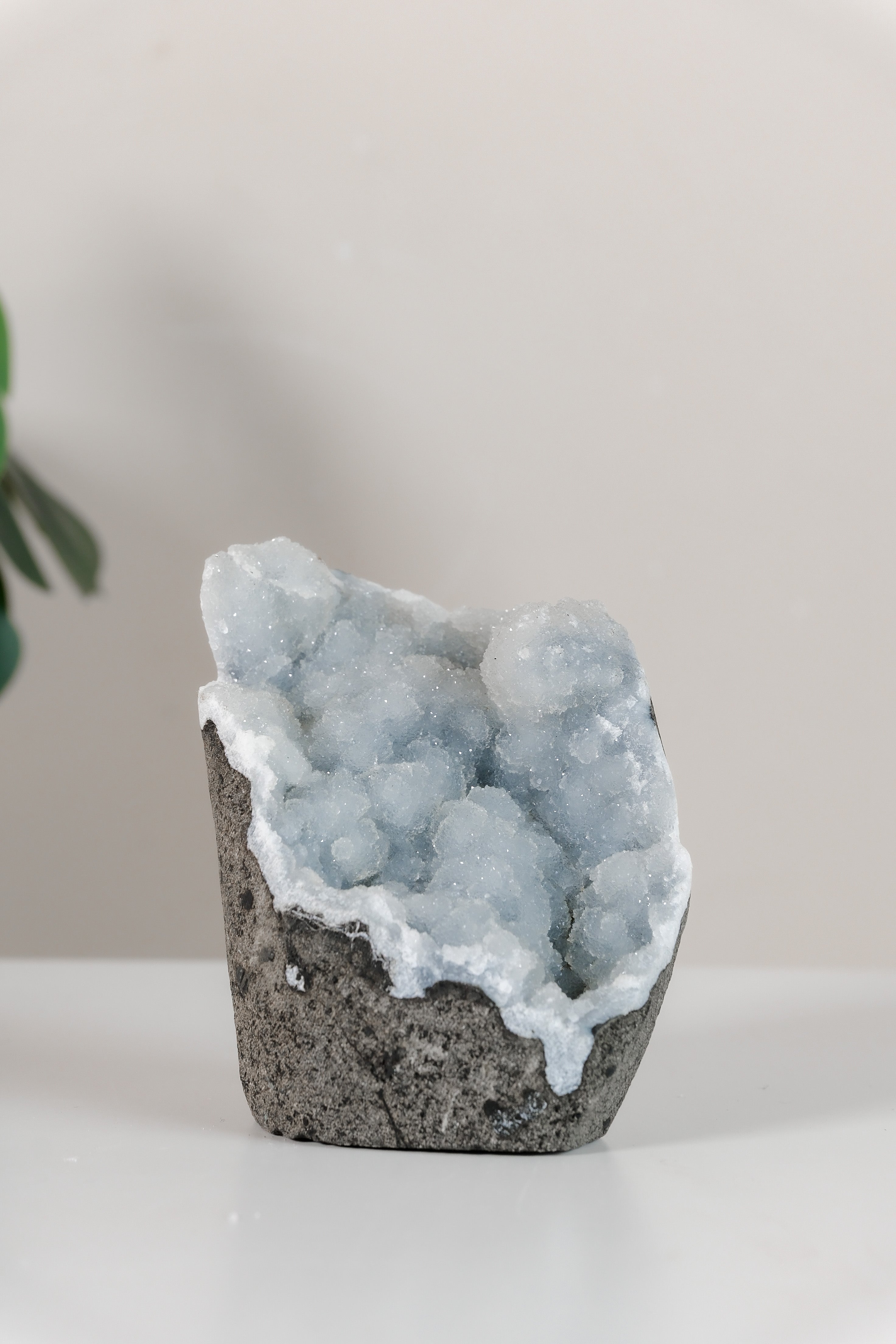 Shimmering Botryoidal Blue Chalcedony Cutbase Cluster