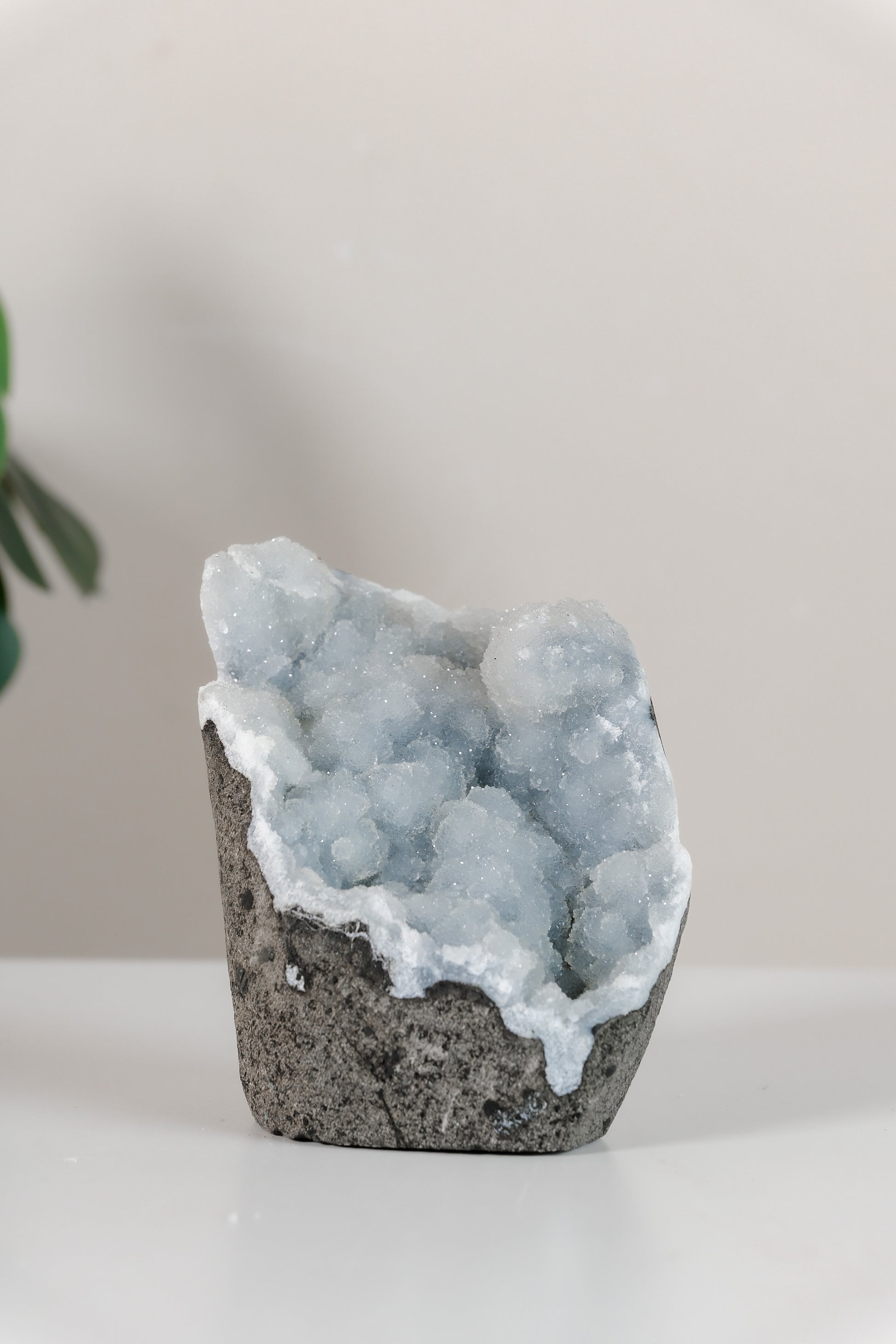 Shimmering Botryoidal Blue Chalcedony Cutbase Cluster