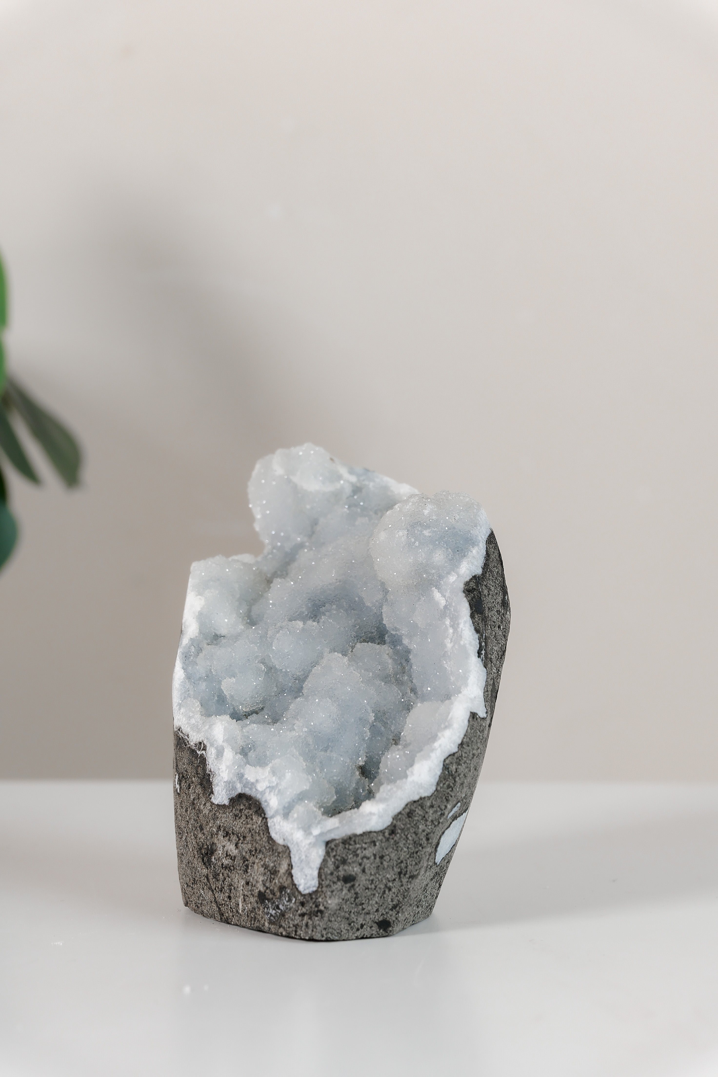 Shimmering Botryoidal Blue Chalcedony Cutbase Cluster