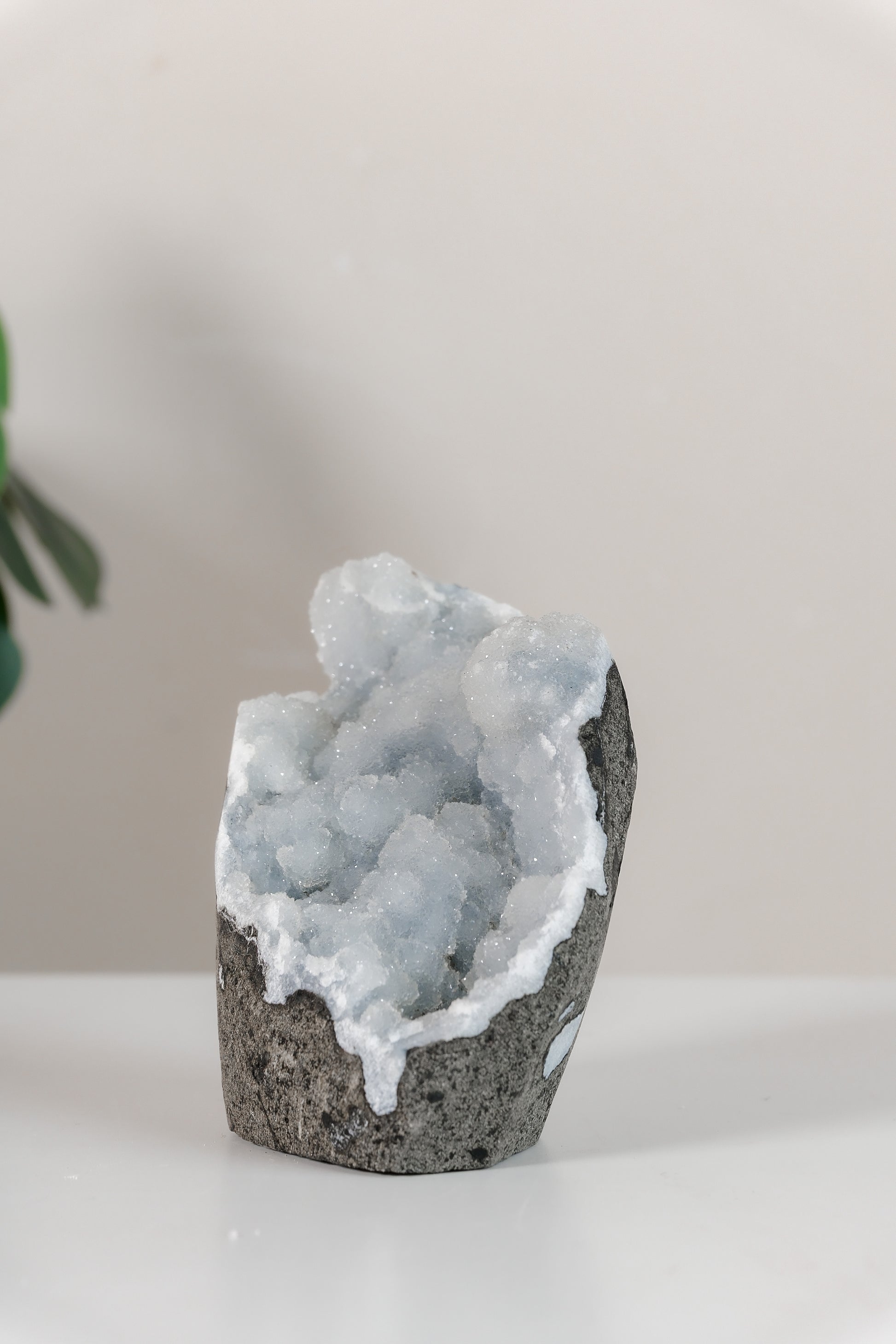 Shimmering Botryoidal Blue Chalcedony Cutbase Cluster