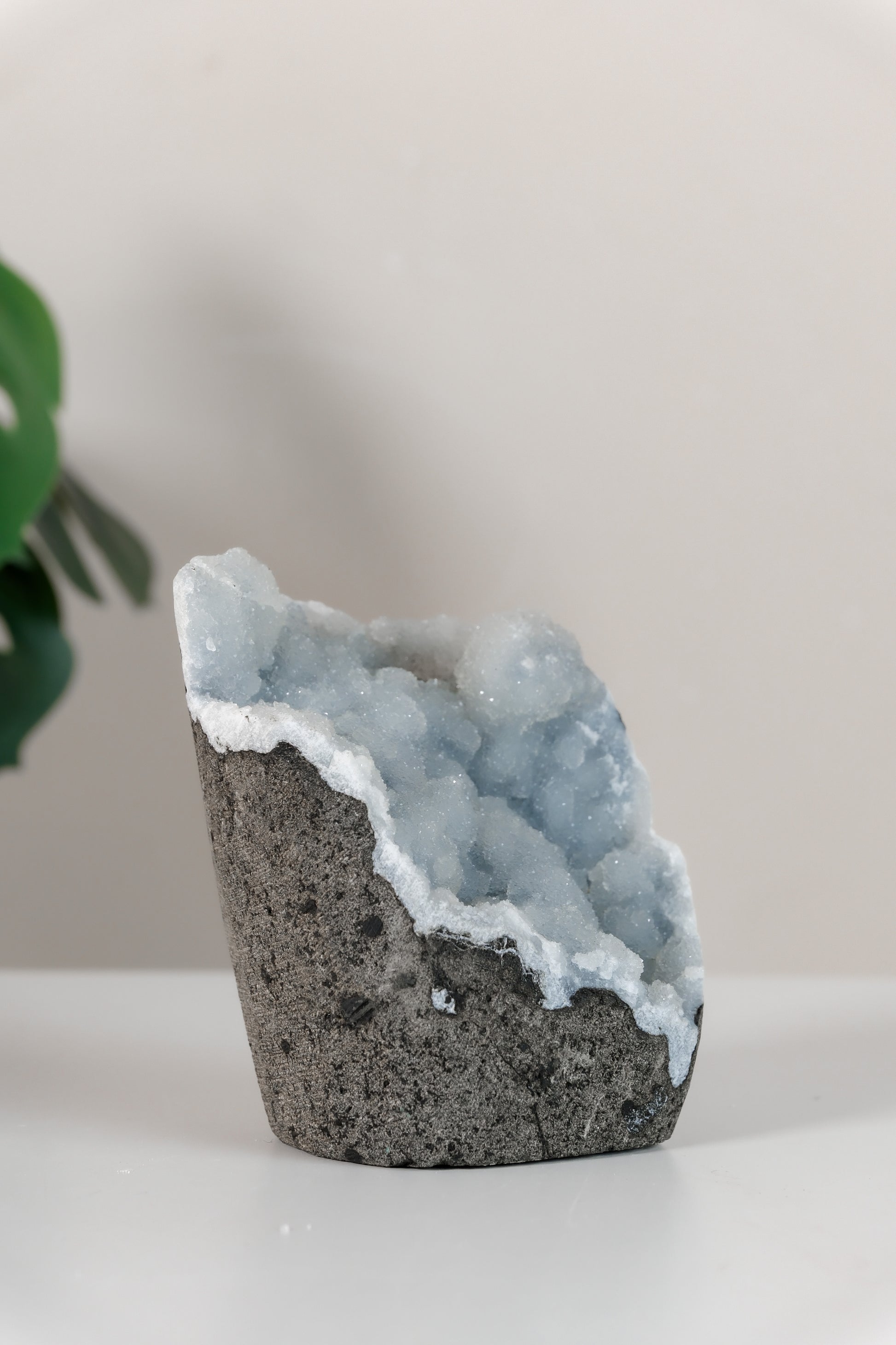 Shimmering Botryoidal Blue Chalcedony Cutbase Cluster