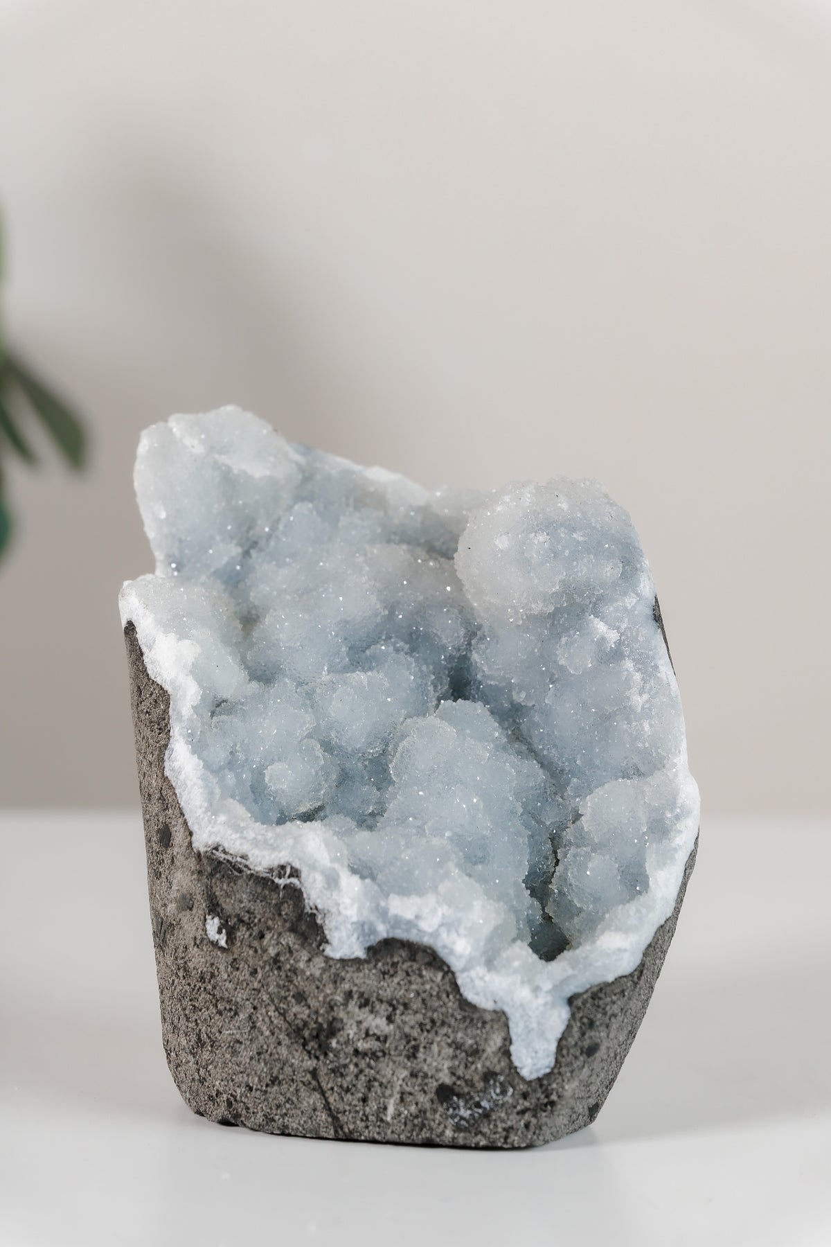 Shimmering Botryoidal Blue Chalcedony Cutbase Cluster