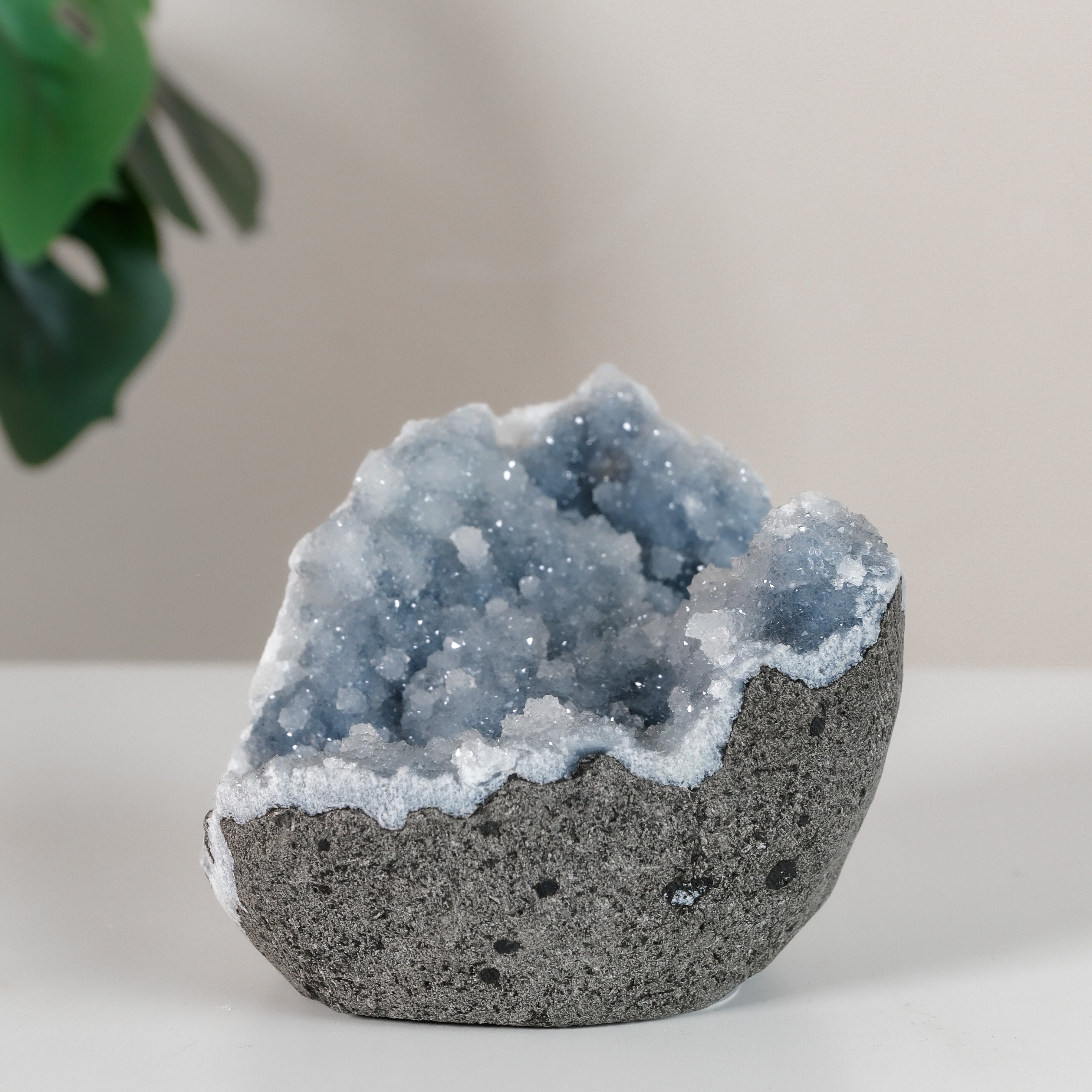Shimmering Botryoidal Blue Chalcedony Cutbase Cluster