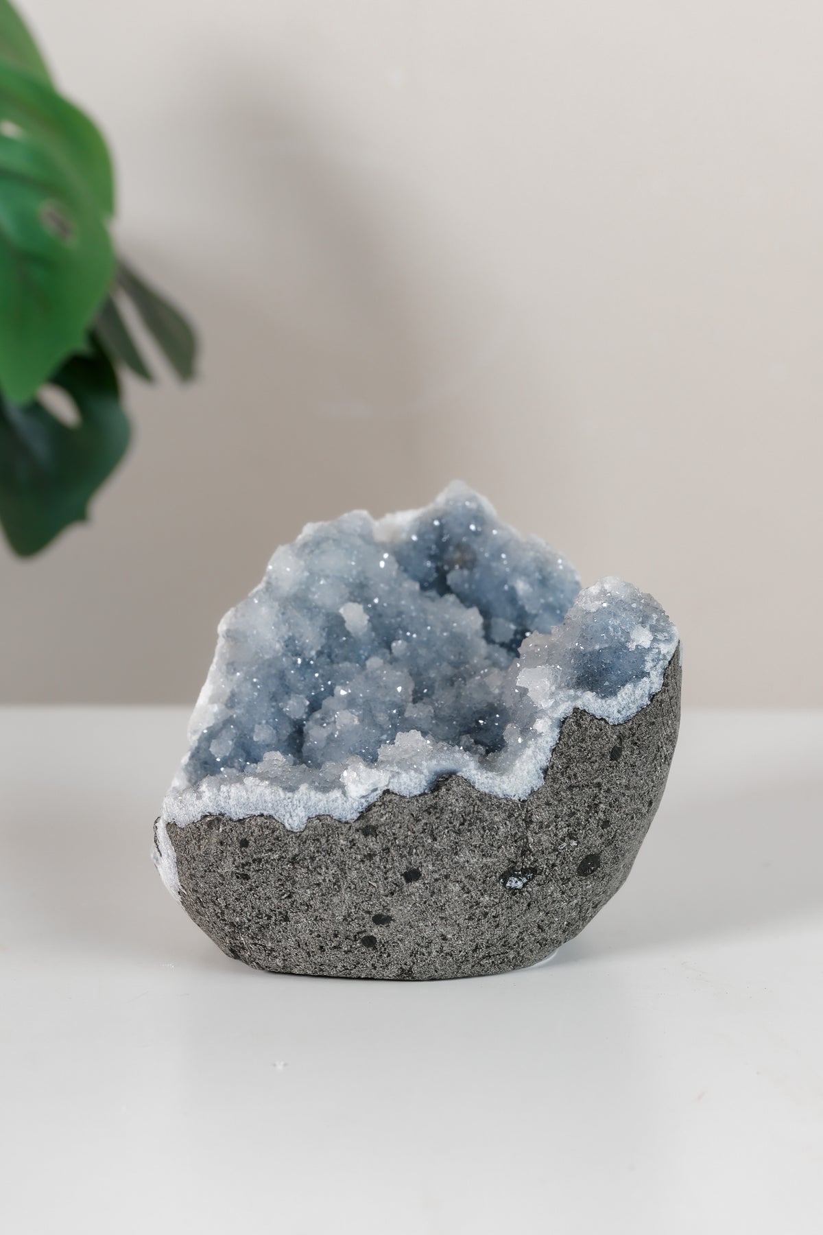 Shimmering Botryoidal Blue Chalcedony Cutbase Cluster