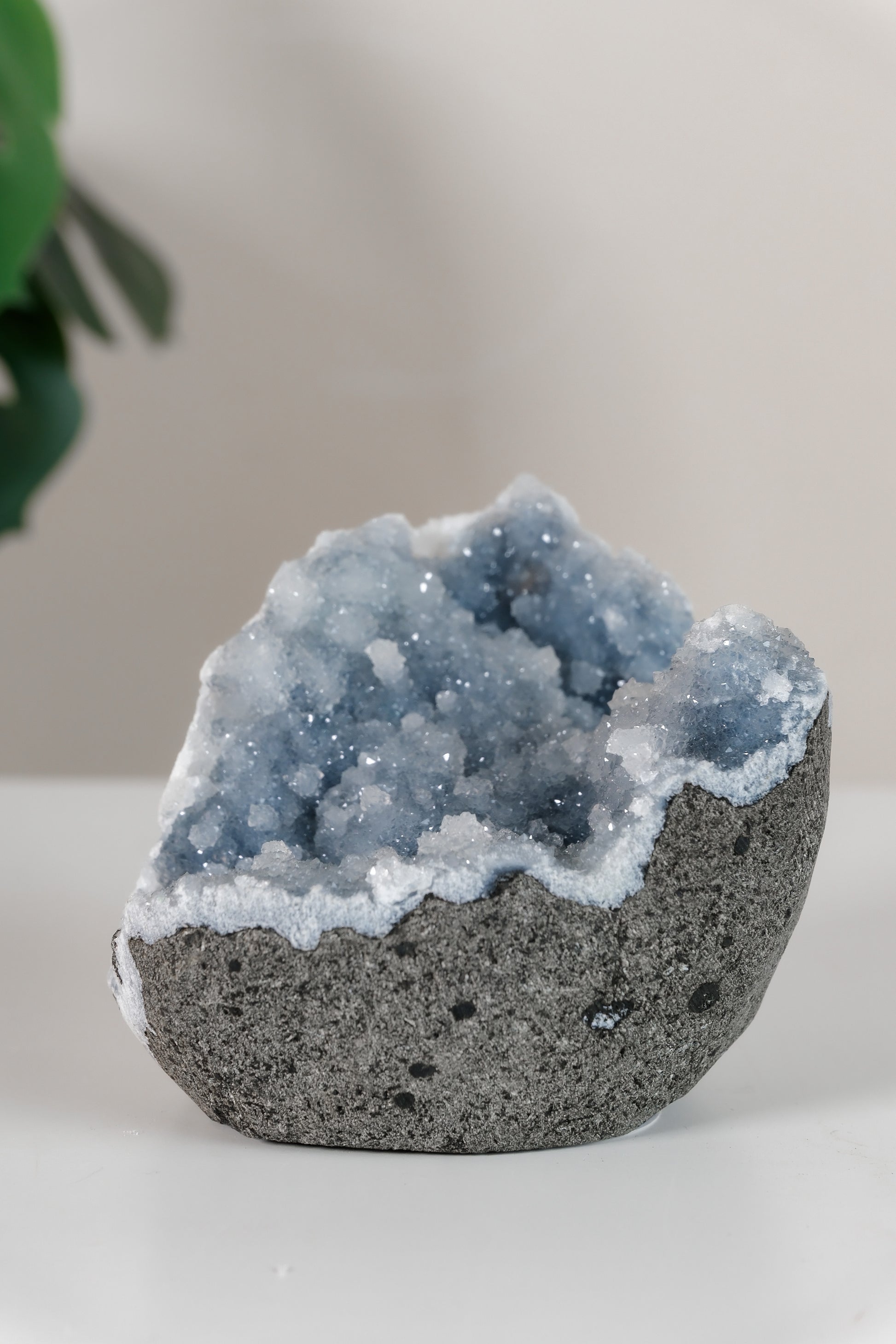 Shimmering Botryoidal Blue Chalcedony Cutbase Cluster