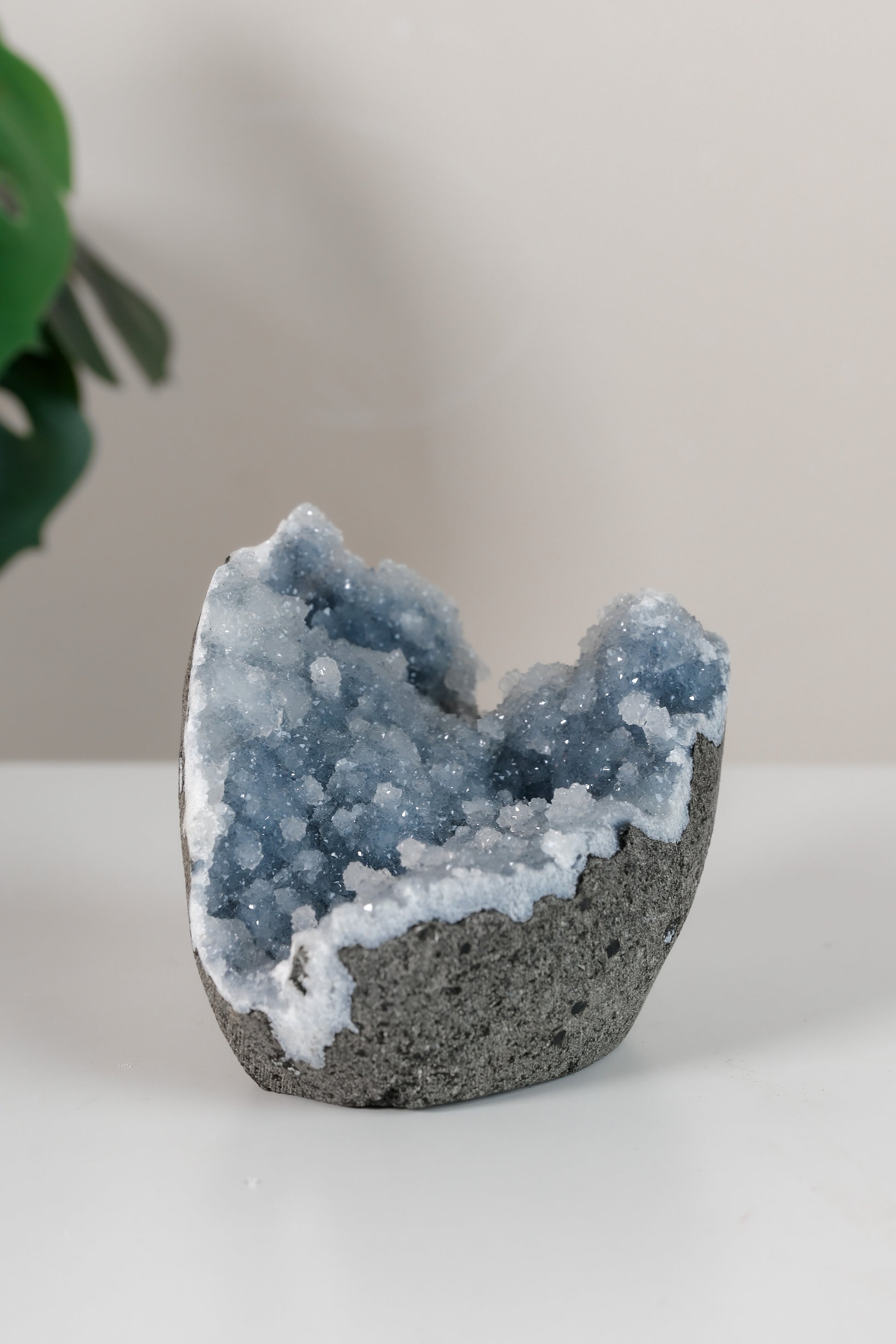 Shimmering Botryoidal Blue Chalcedony Cutbase Cluster