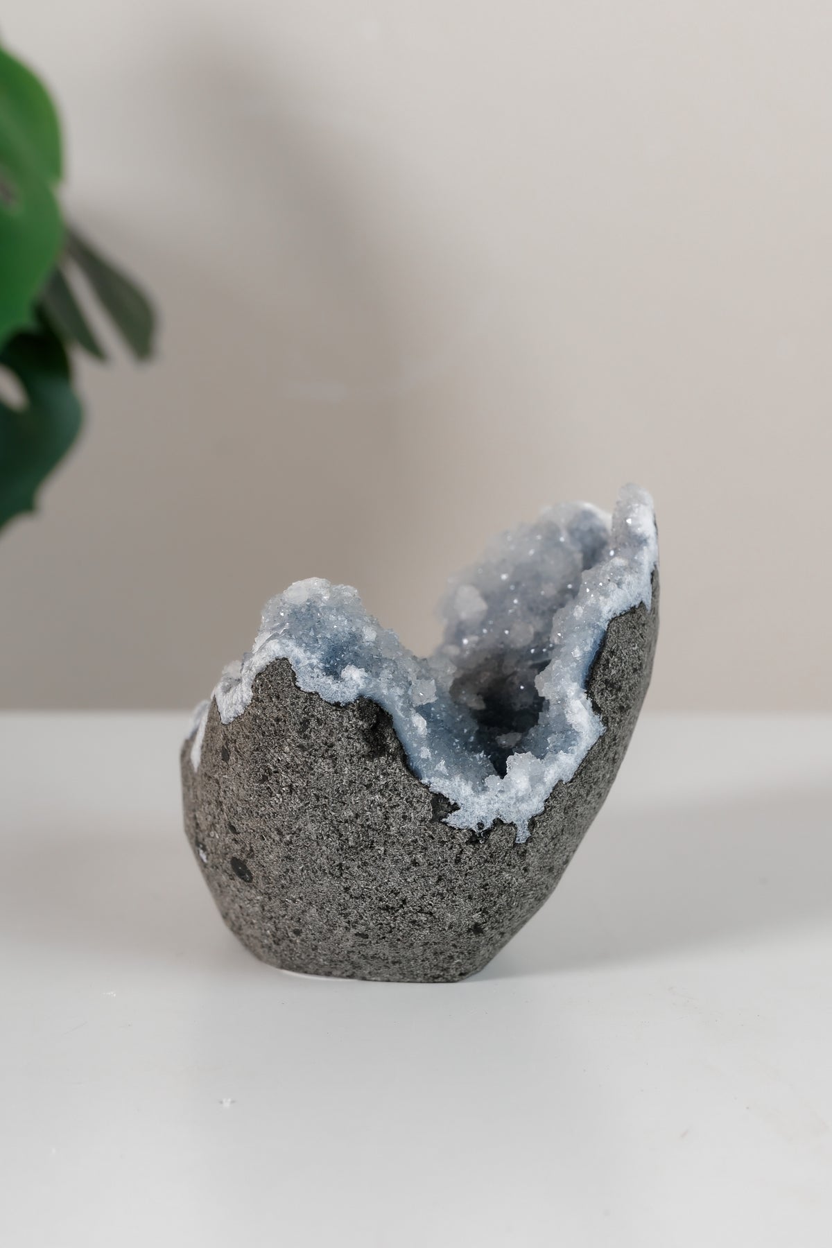 Shimmering Botryoidal Blue Chalcedony Cutbase Cluster