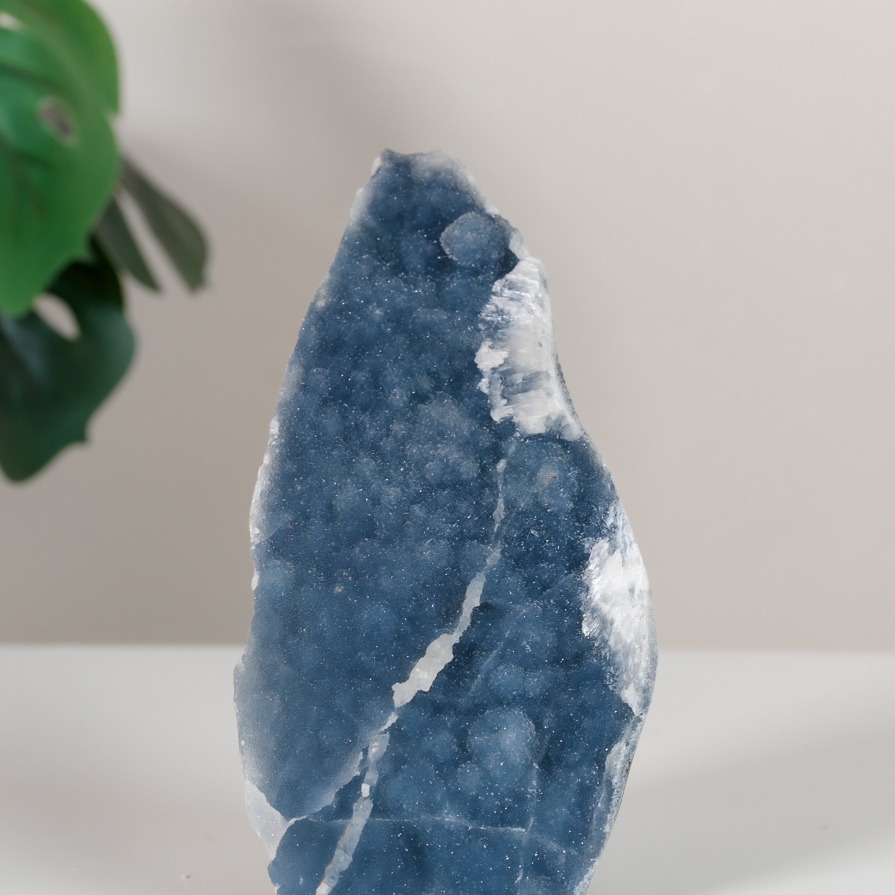 Shimmering Botryoidal Blue Chalcedony Cutbase Cluster