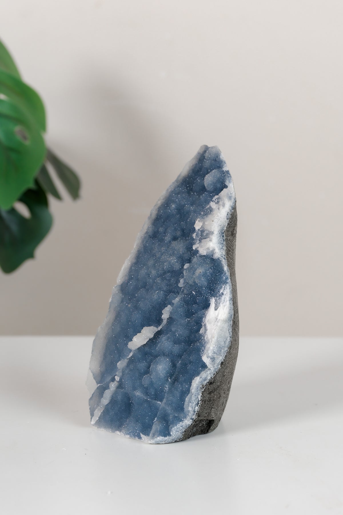 Shimmering Botryoidal Blue Chalcedony Cutbase Cluster