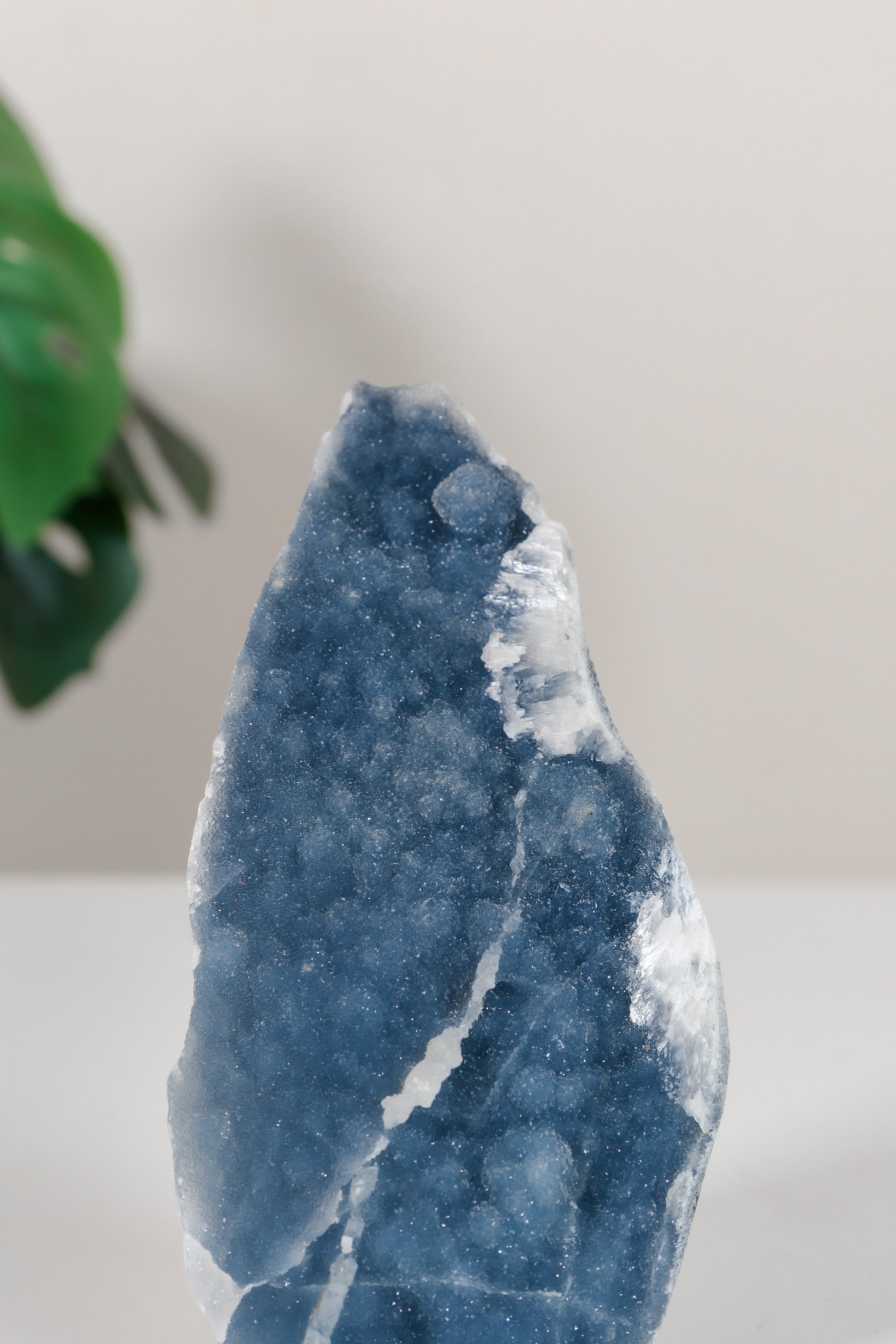 Shimmering Botryoidal Blue Chalcedony Cutbase Cluster