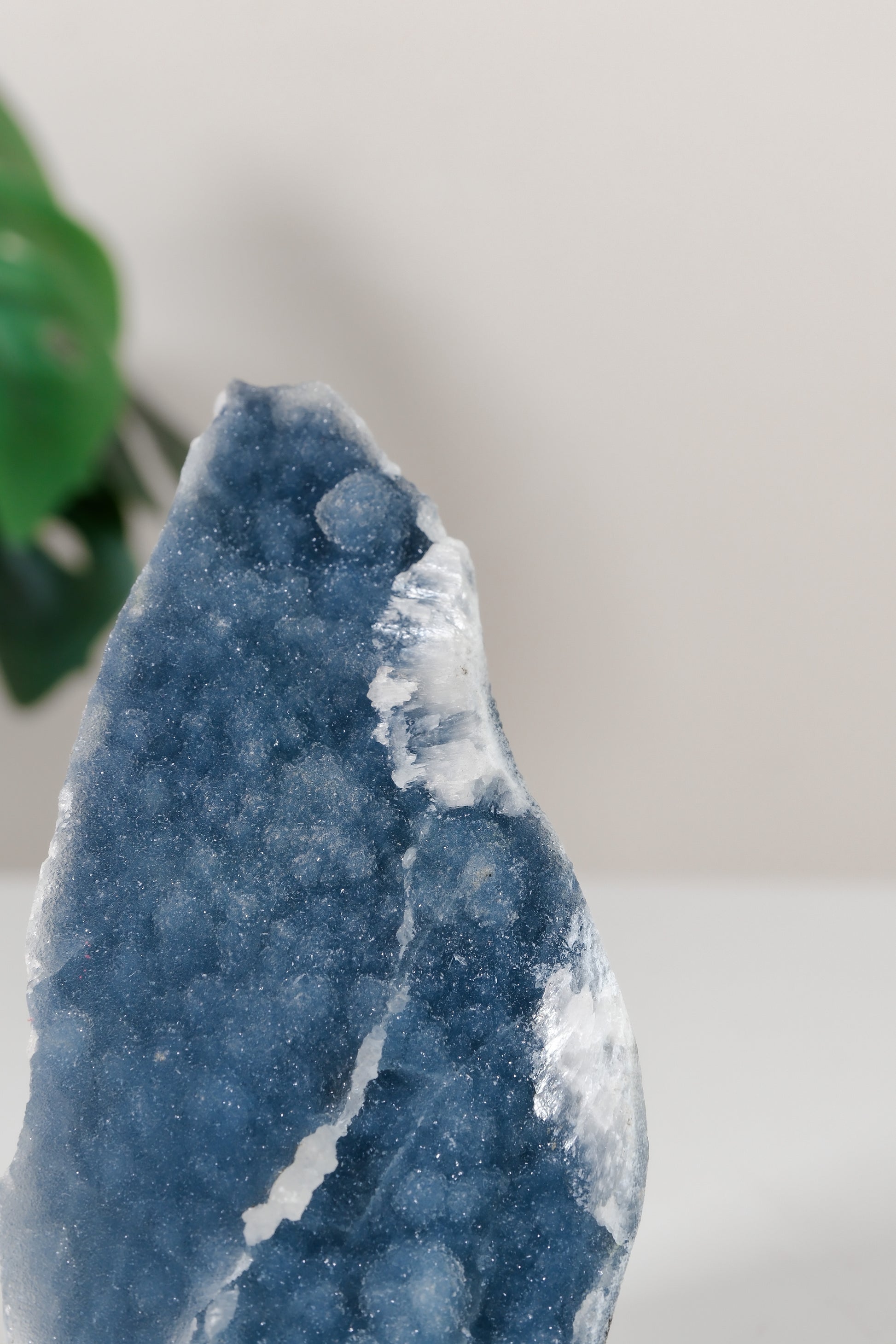 Shimmering Botryoidal Blue Chalcedony Cutbase Cluster