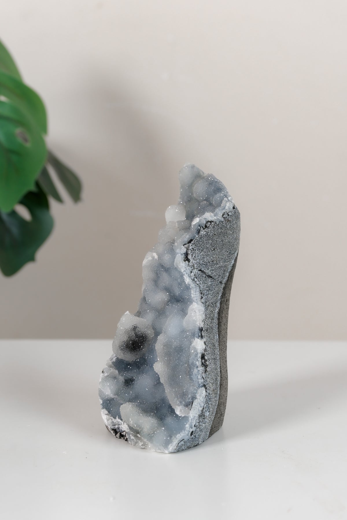 Shimmering Botryoidal Blue Chalcedony Cutbase Cluster