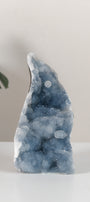 Shimmering Botryoidal Blue Chalcedony Cutbase Cluster