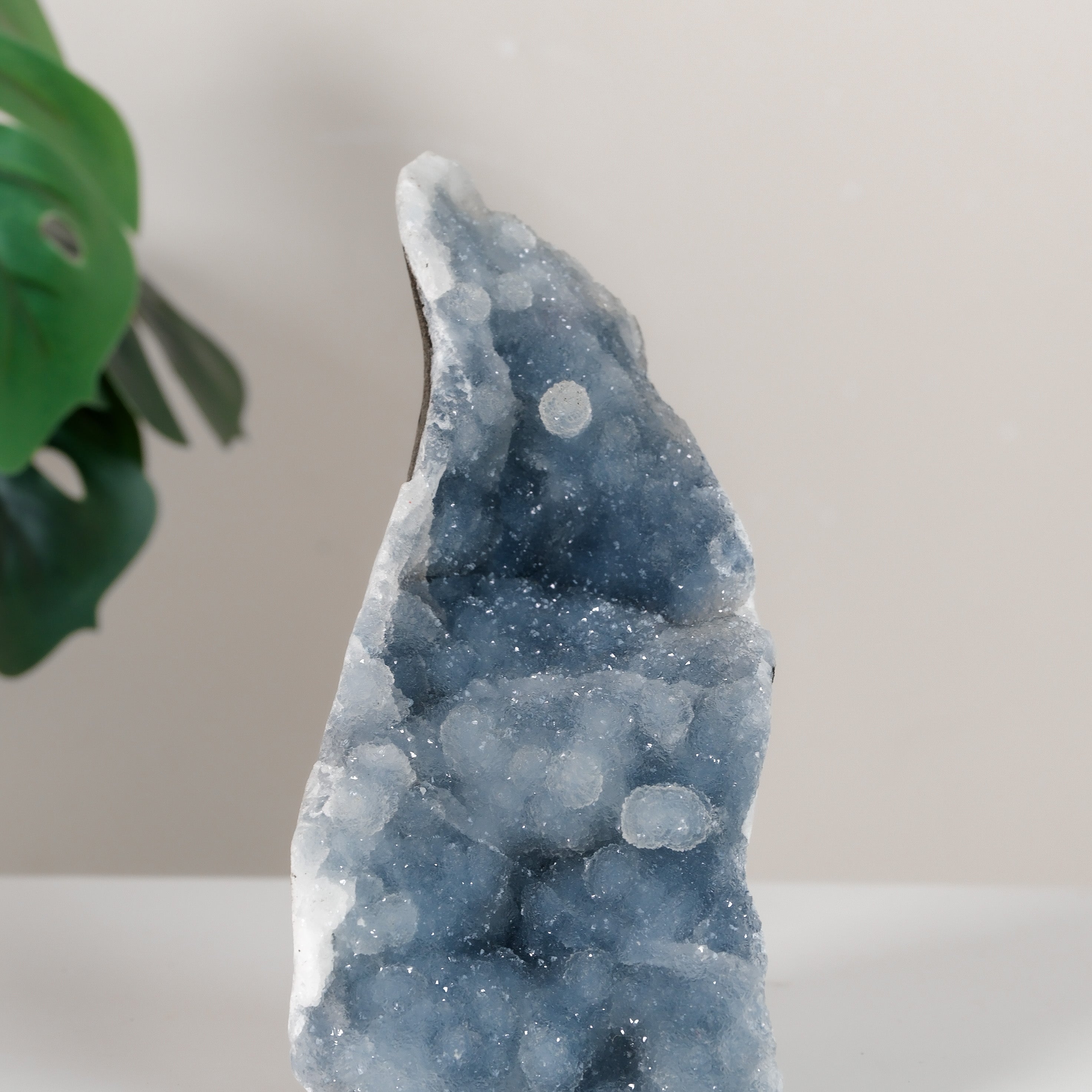 Shimmering Botryoidal Blue Chalcedony Cutbase Cluster