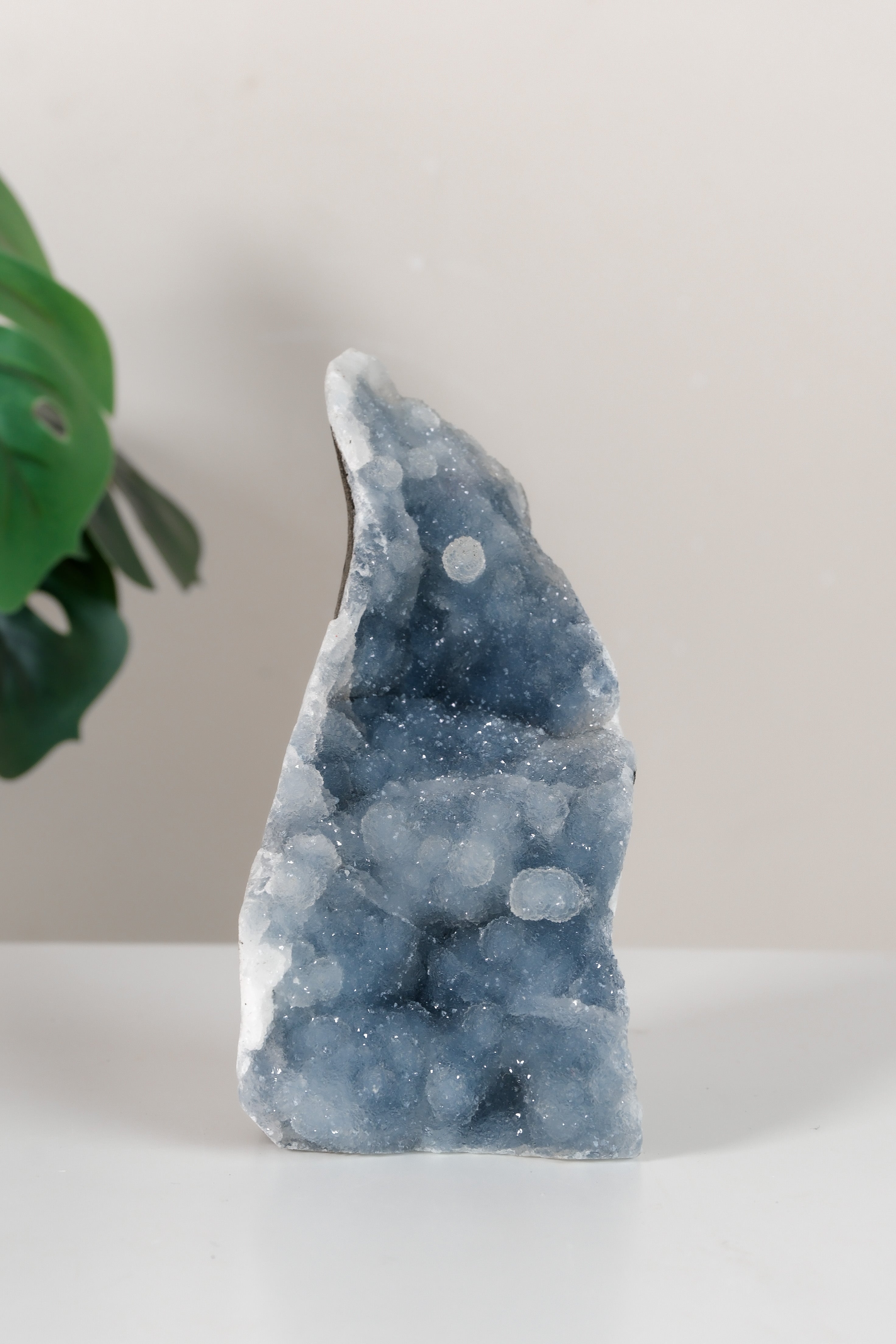 Shimmering Botryoidal Blue Chalcedony Cutbase Cluster