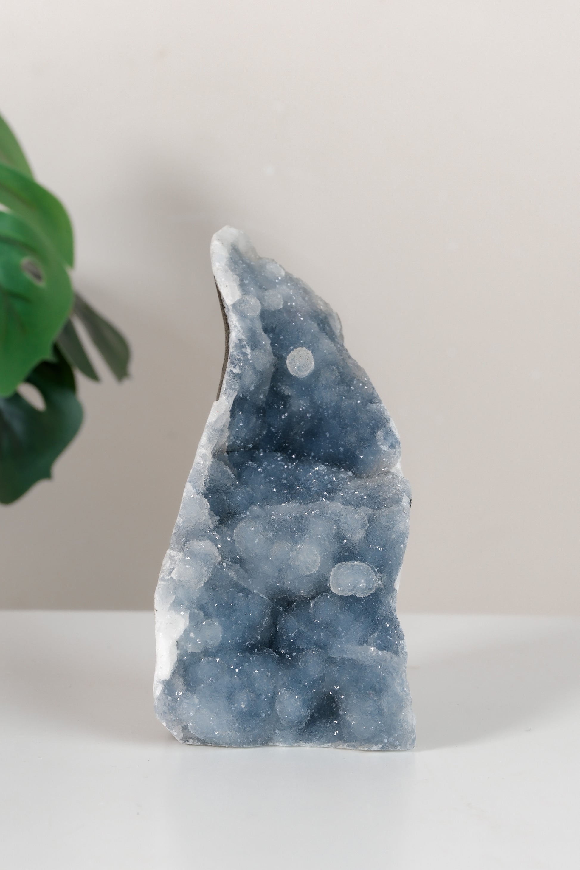 Shimmering Botryoidal Blue Chalcedony Cutbase Cluster