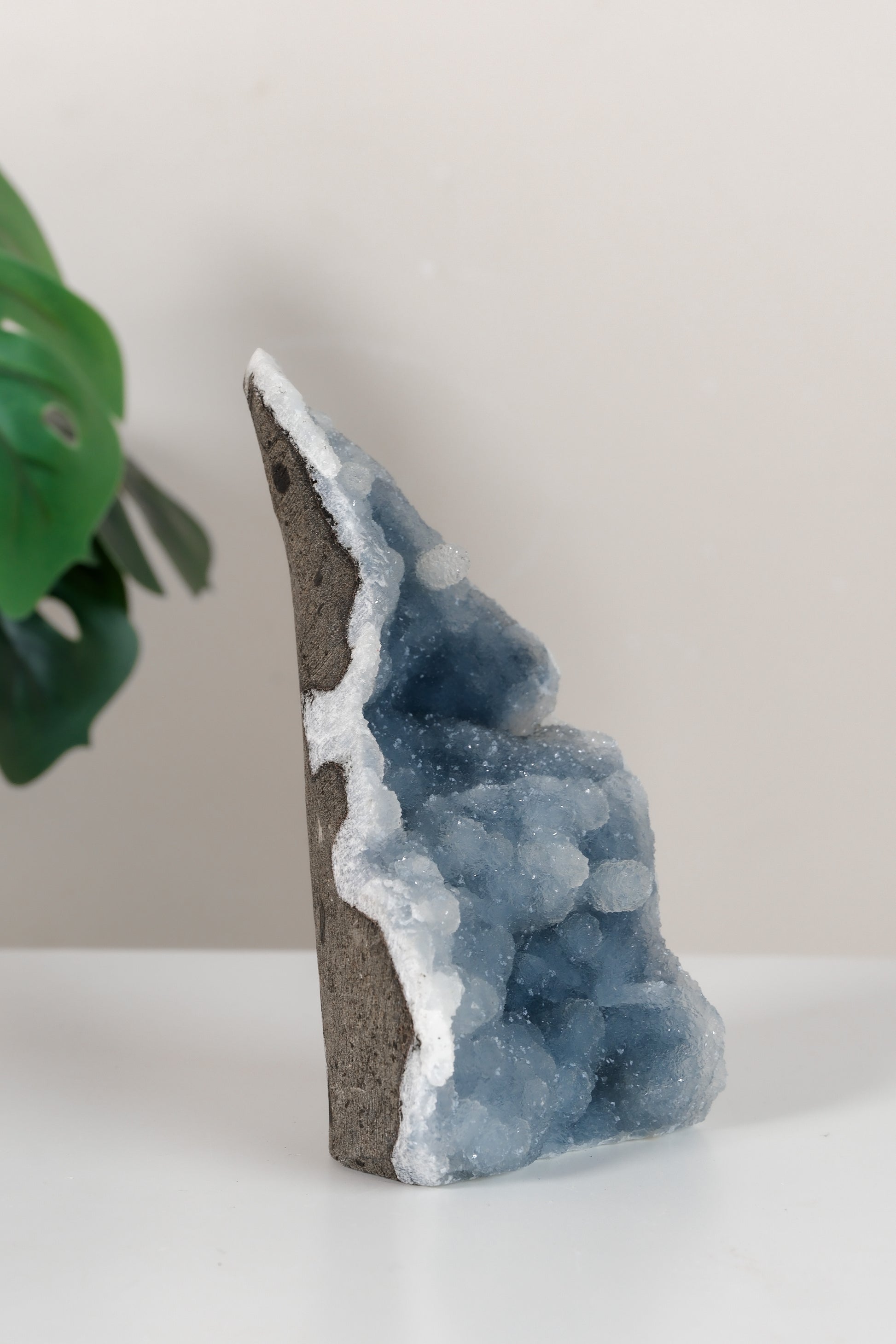 Shimmering Botryoidal Blue Chalcedony Cutbase Cluster