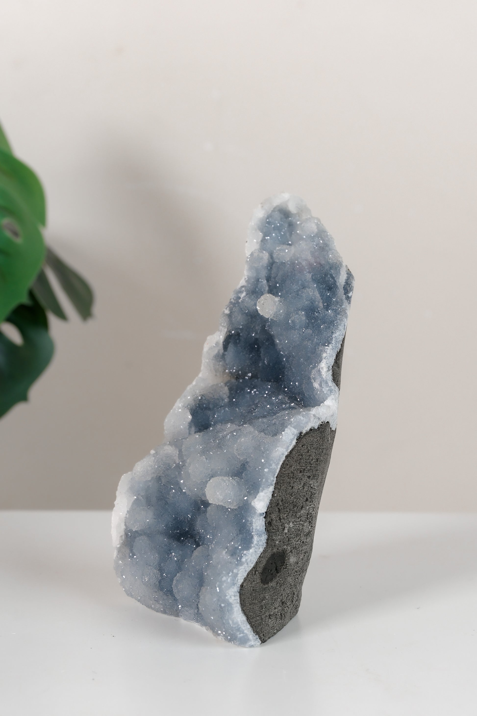 Shimmering Botryoidal Blue Chalcedony Cutbase Cluster