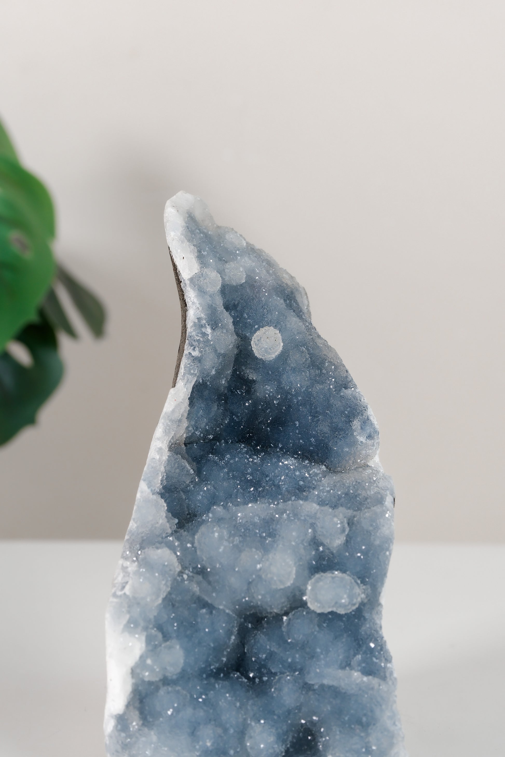 Shimmering Botryoidal Blue Chalcedony Cutbase Cluster