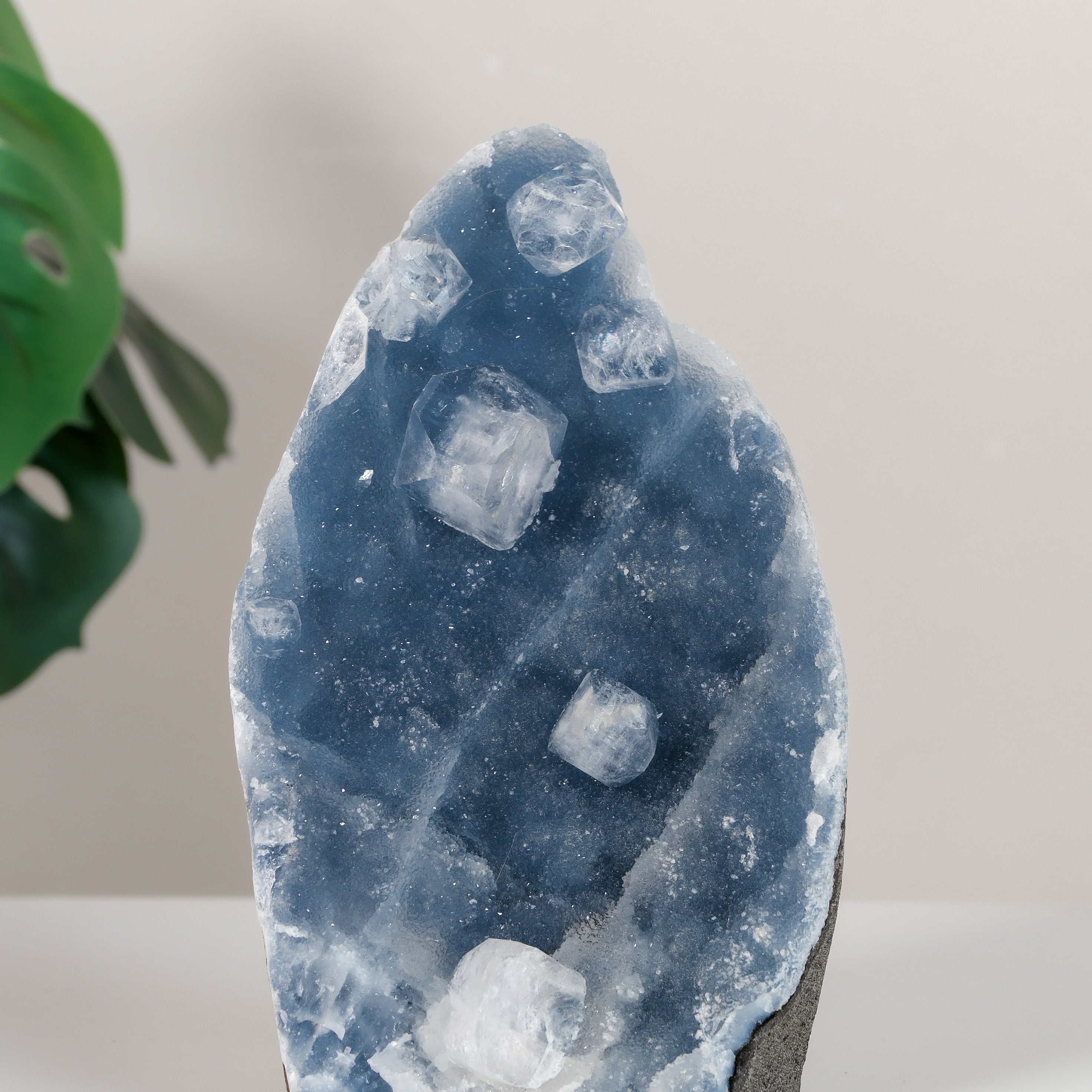 Apophyllite on Shimmering Blue Chalcedony Cutbase Cluster