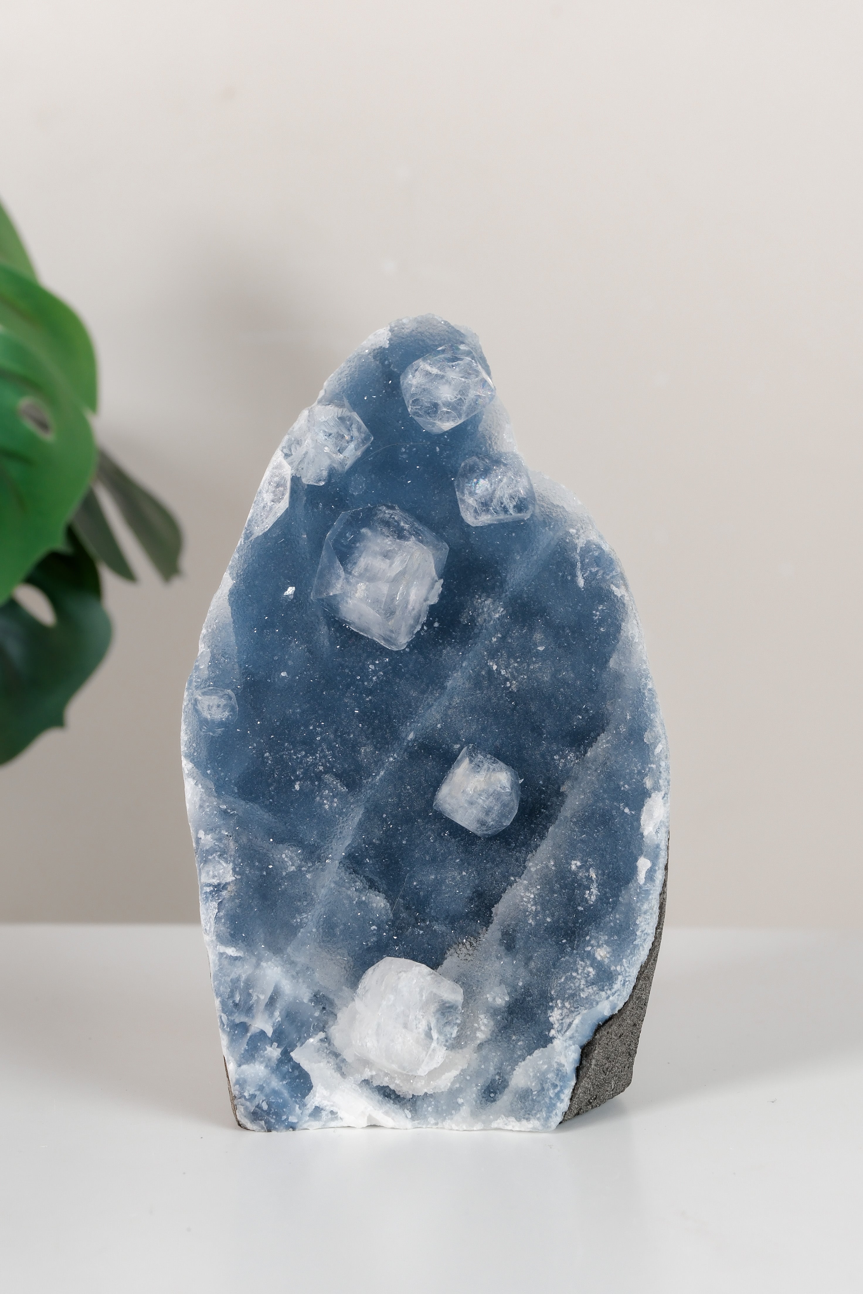 Apophyllite on Shimmering Blue Chalcedony Cutbase Cluster