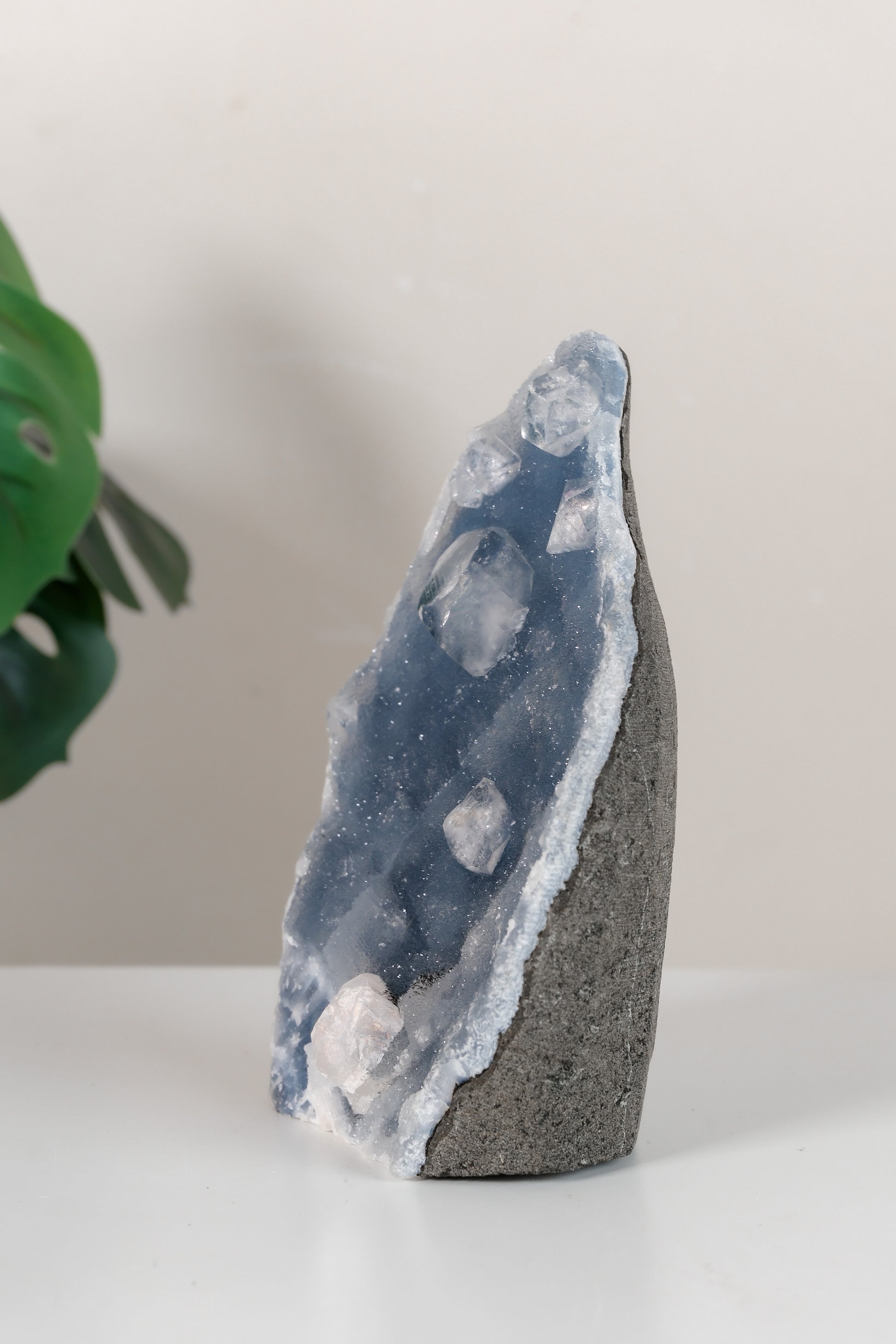 Apophyllite on Shimmering Blue Chalcedony Cutbase Cluster