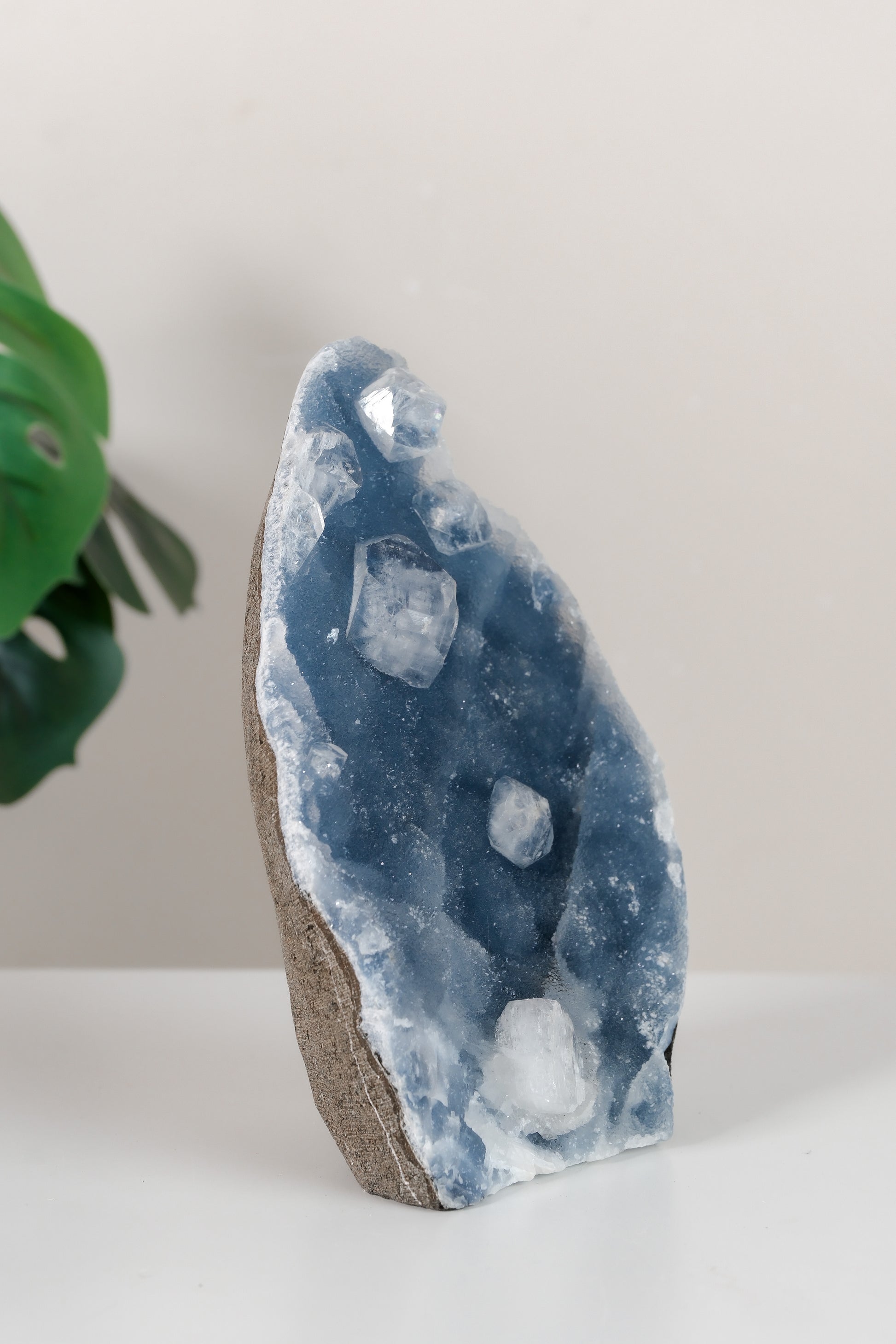 Apophyllite on Shimmering Blue Chalcedony Cutbase Cluster