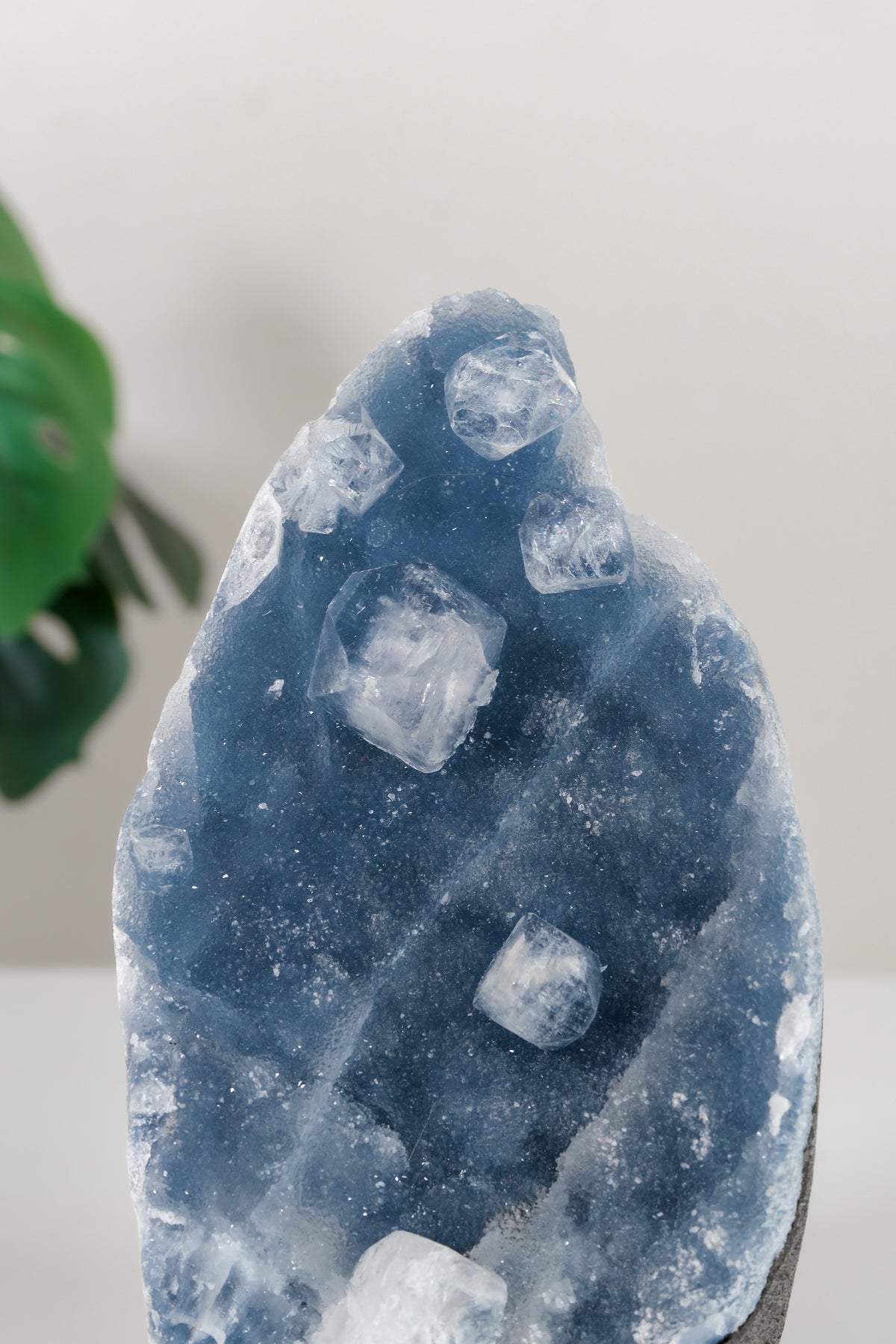 Apophyllite on Shimmering Blue Chalcedony Cutbase Cluster
