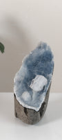 Apophyllite on Shimmering Blue Chalcedony Cutbase Cluster