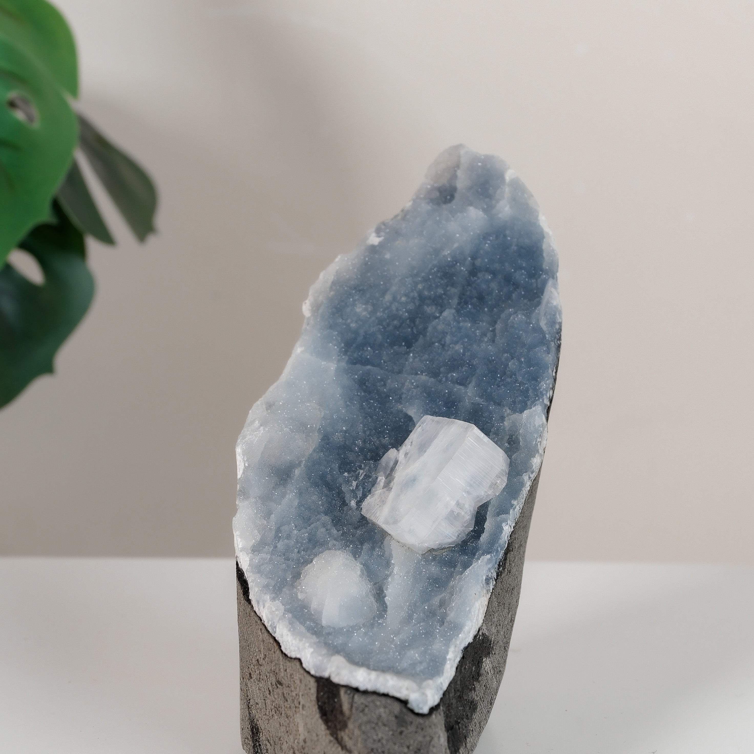 Apophyllite on Shimmering Blue Chalcedony Cutbase Cluster