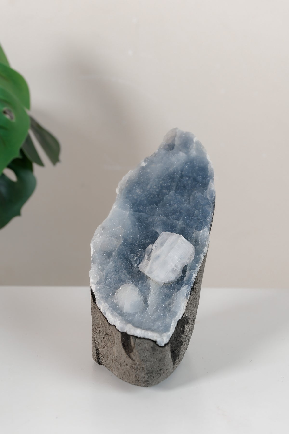 Apophyllite on Shimmering Blue Chalcedony Cutbase Cluster