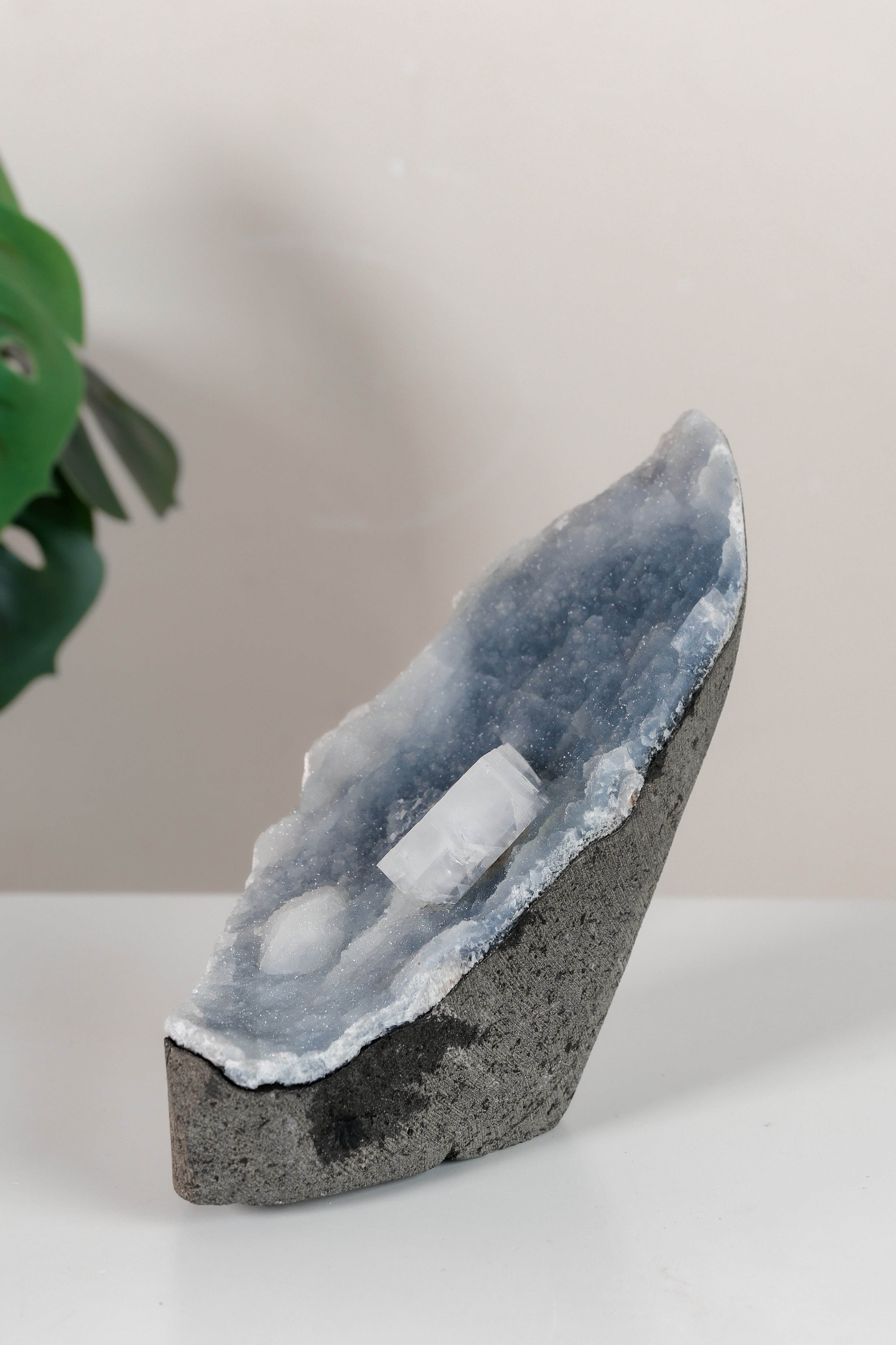 Apophyllite on Shimmering Blue Chalcedony Cutbase Cluster