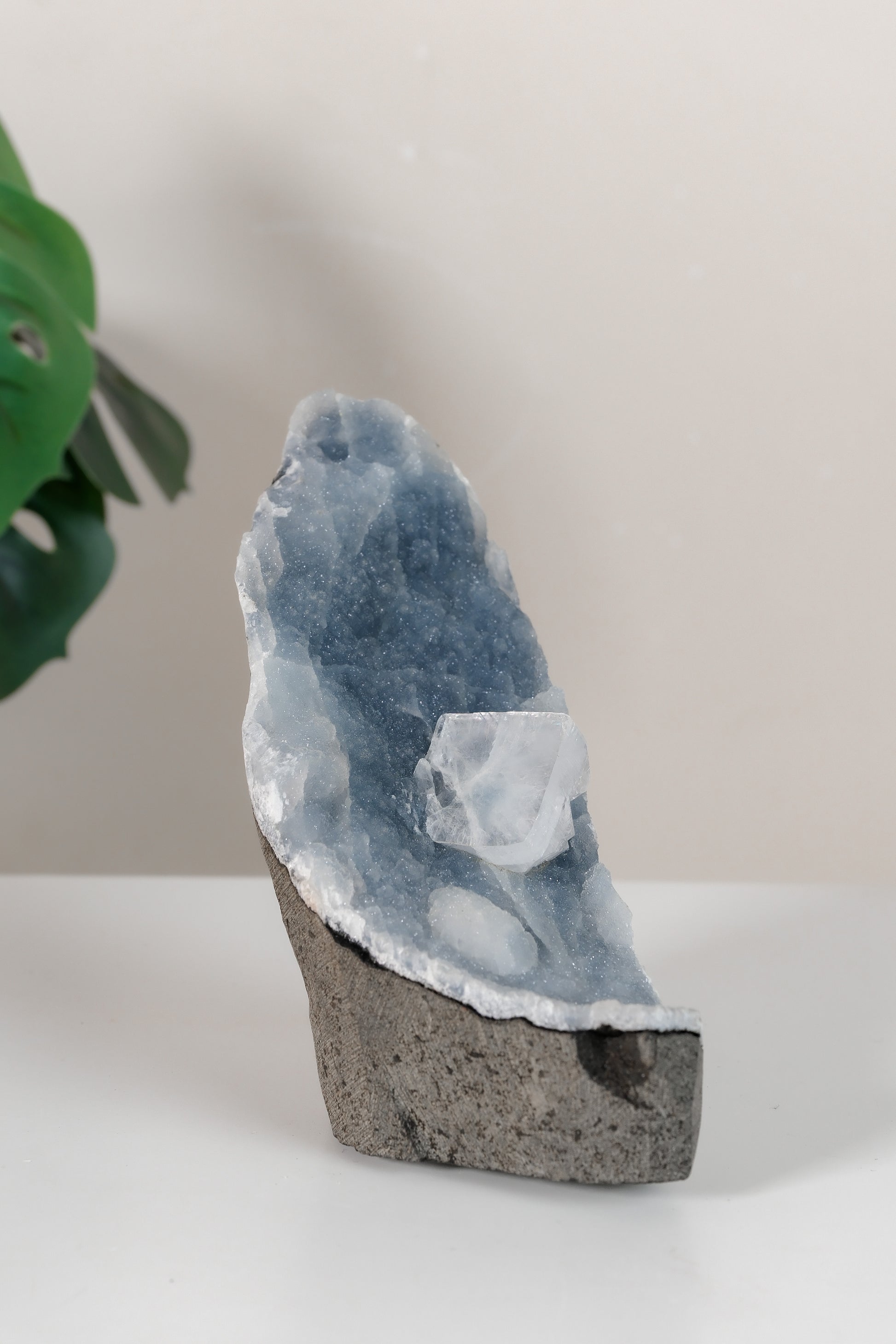 Apophyllite on Shimmering Blue Chalcedony Cutbase Cluster